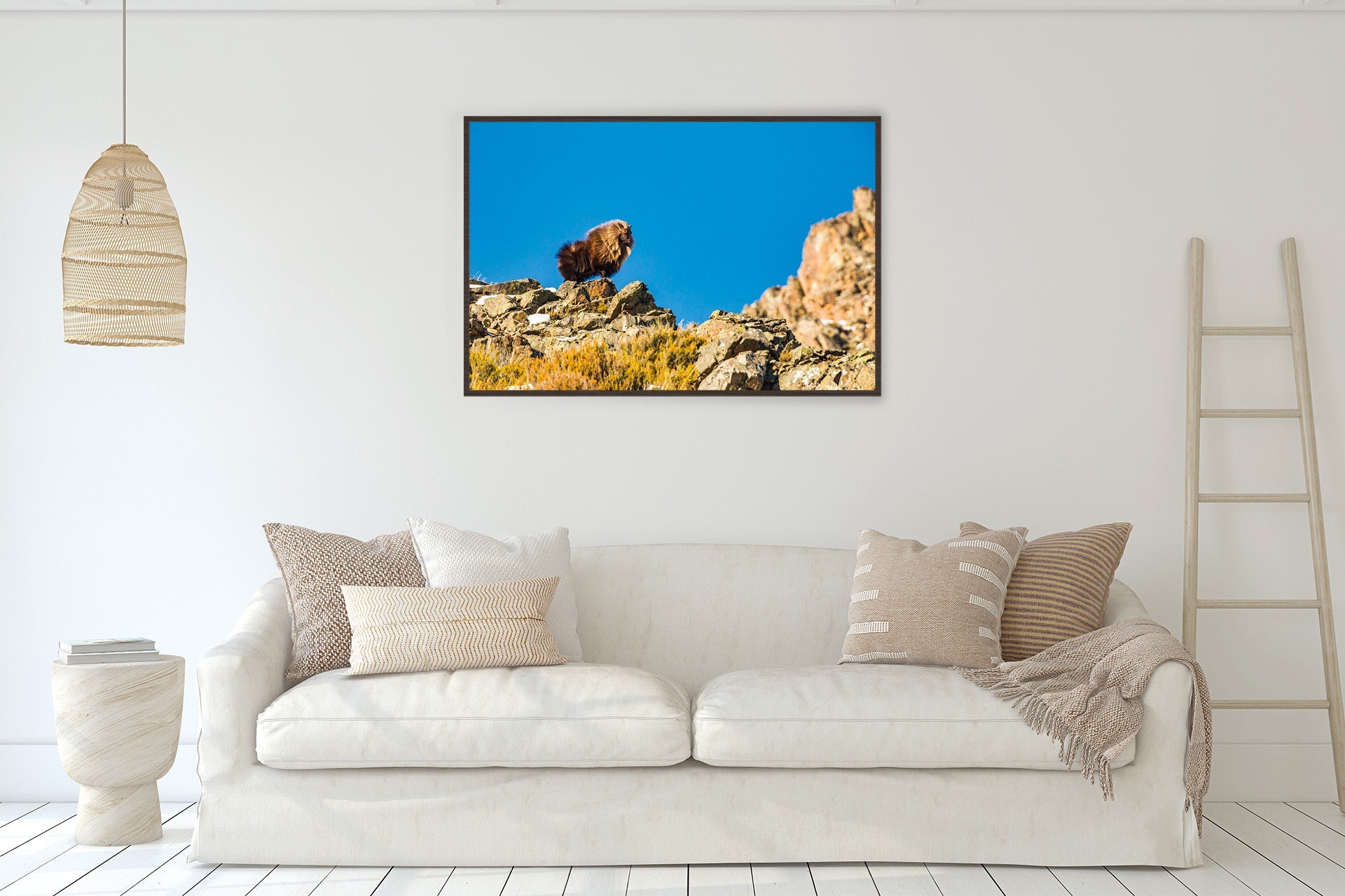 himalayan tahr print