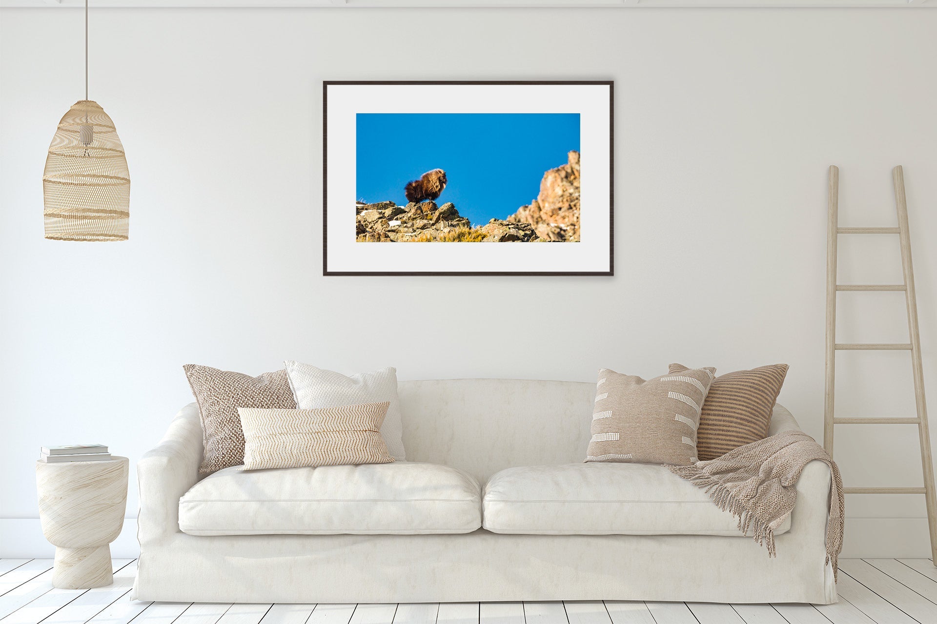 himalayan tahr print