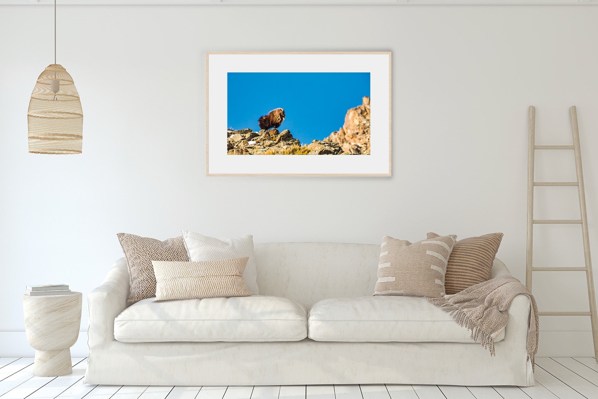 himalayan tahr print