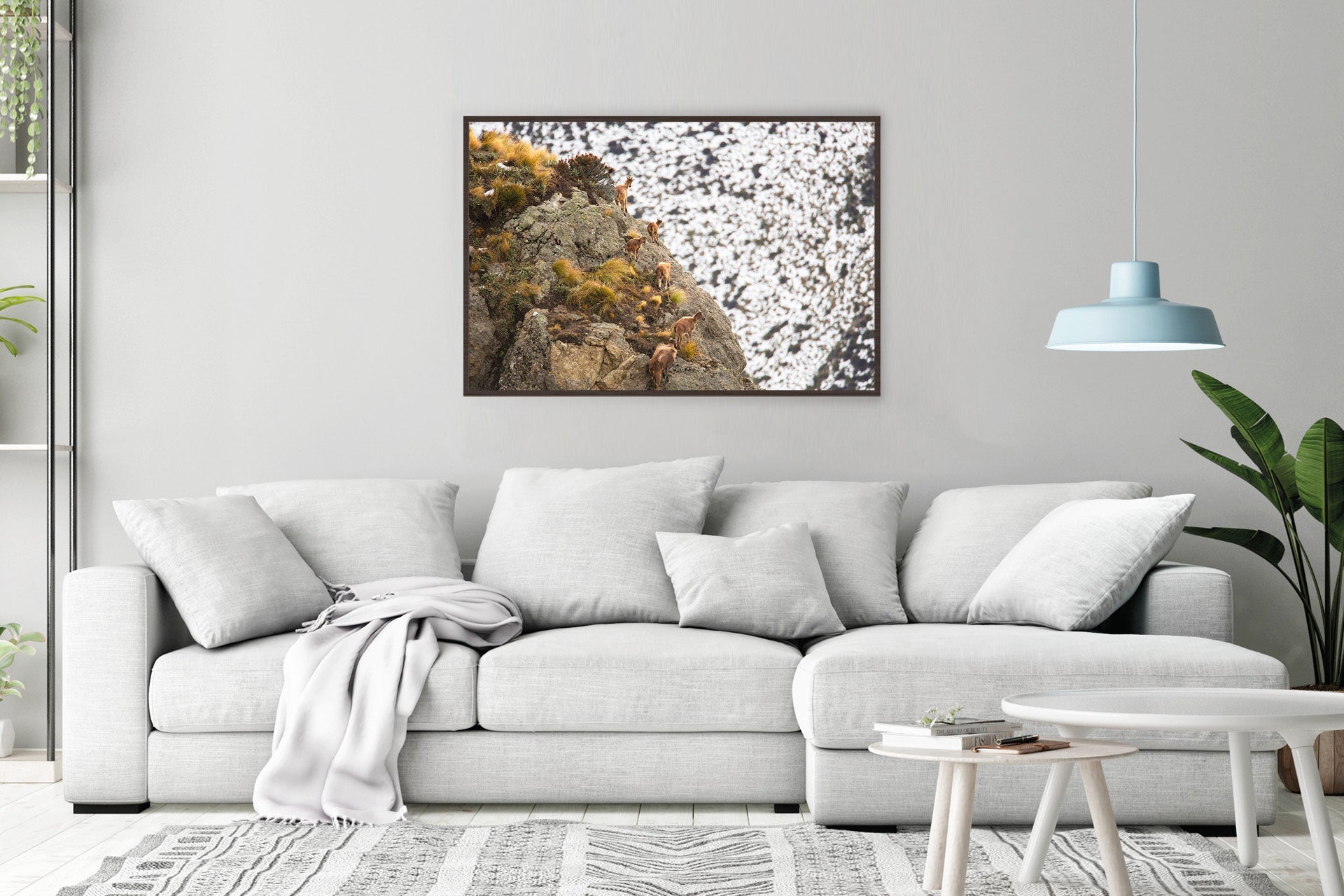 Himalayan Tahr family group print