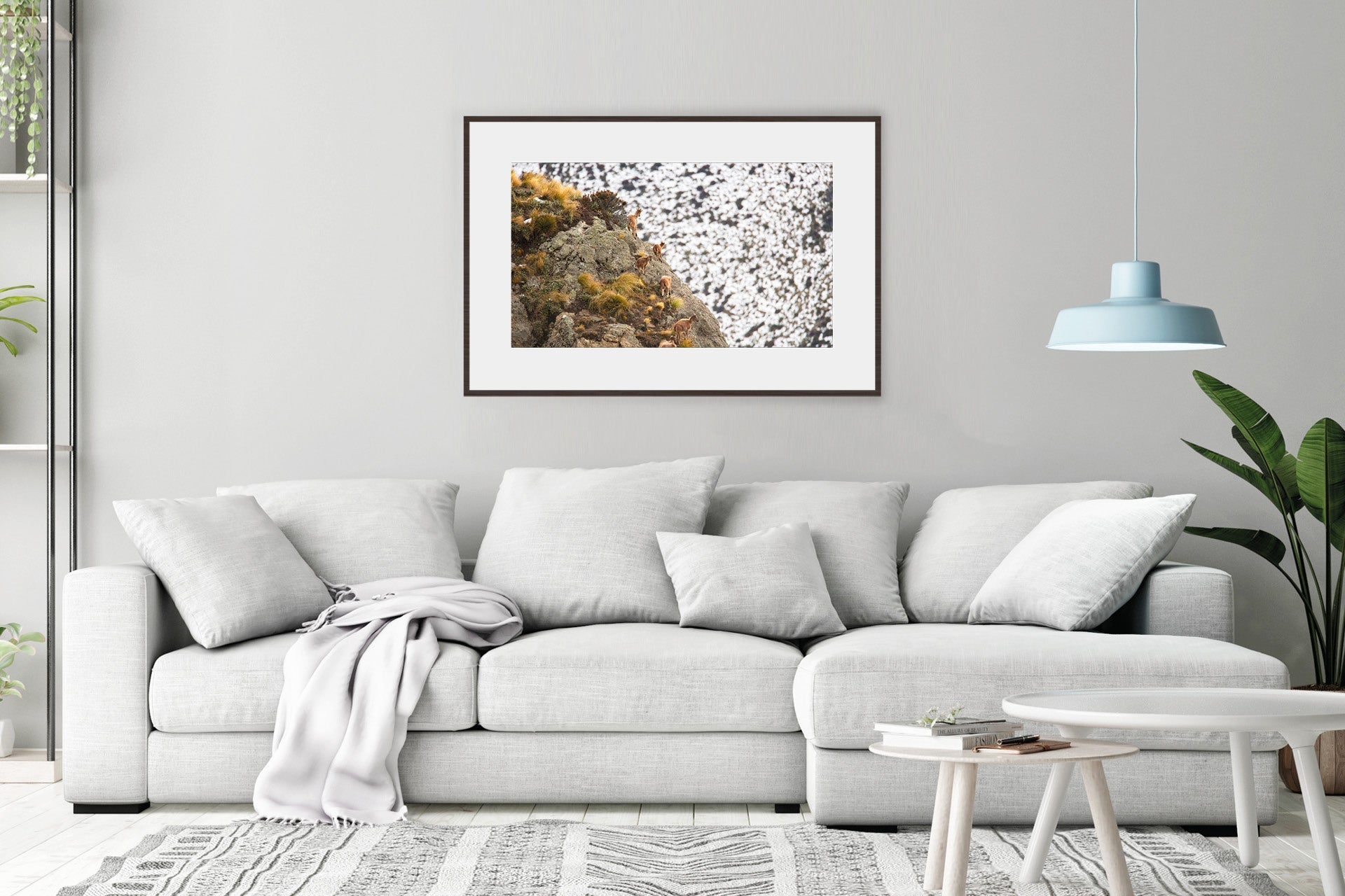Himalayan Tahr family group print