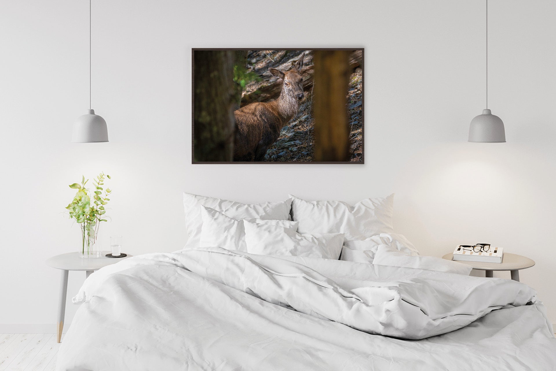 Images of Red Deer