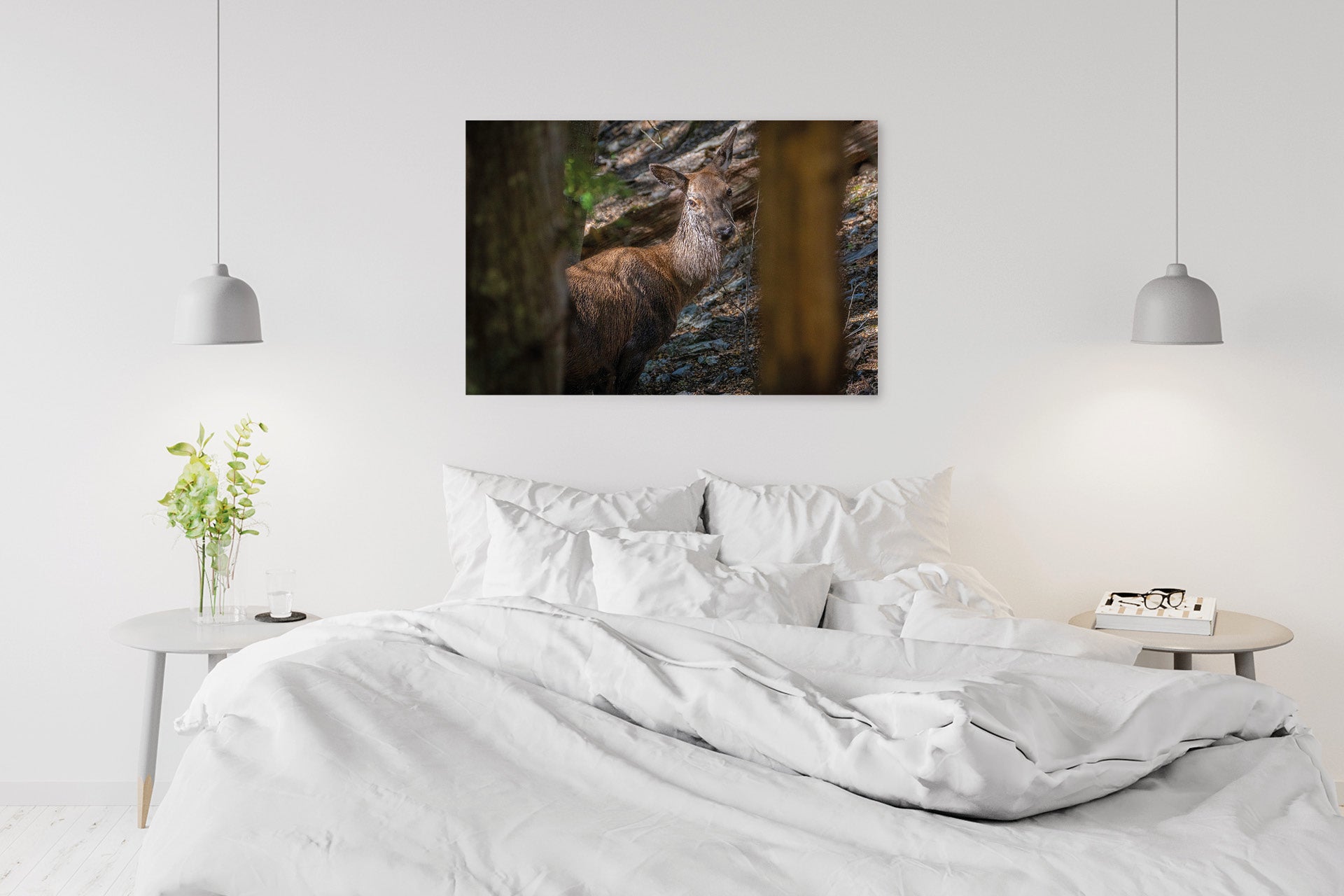Red Deer Hind wall print