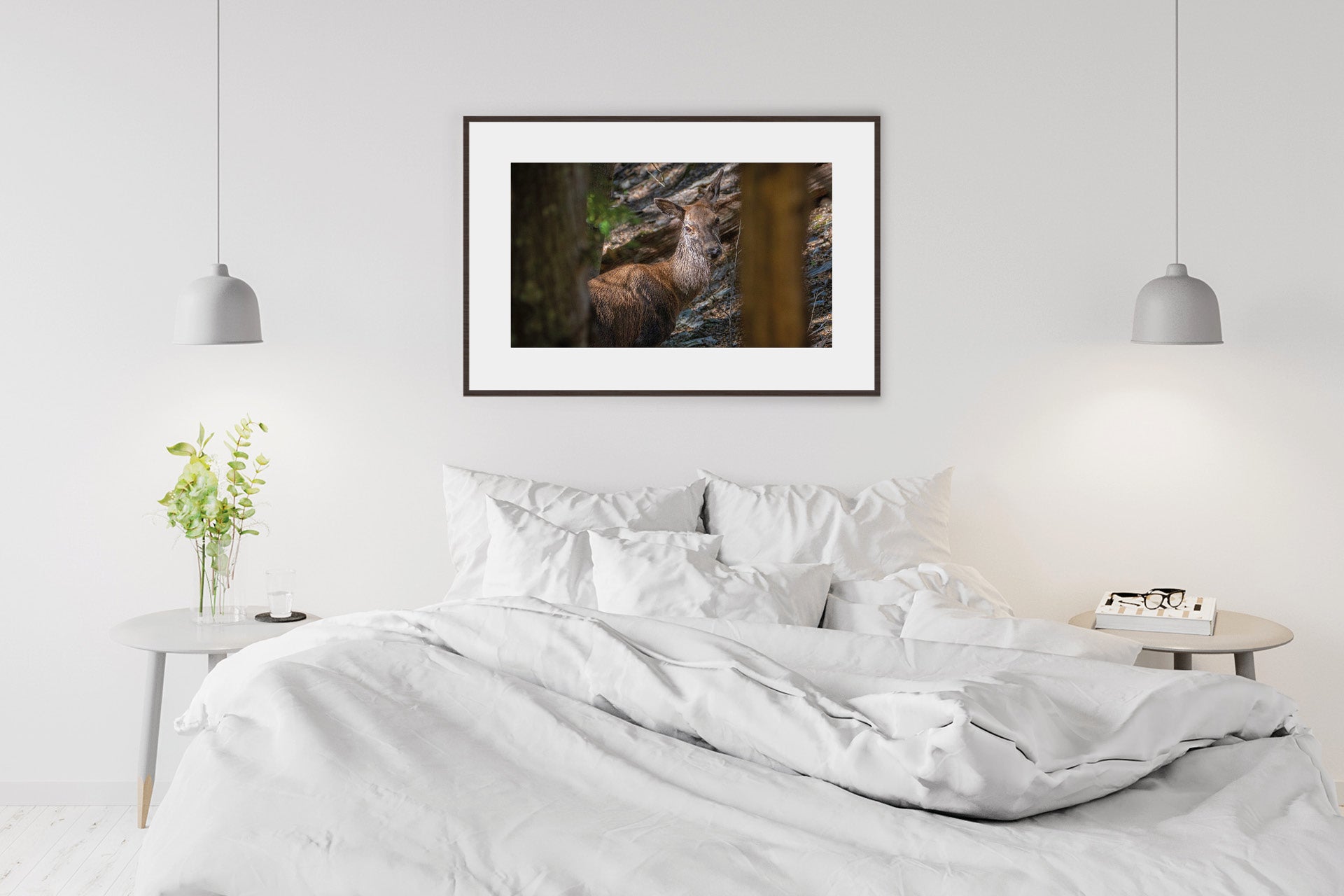 Images of Red Deer