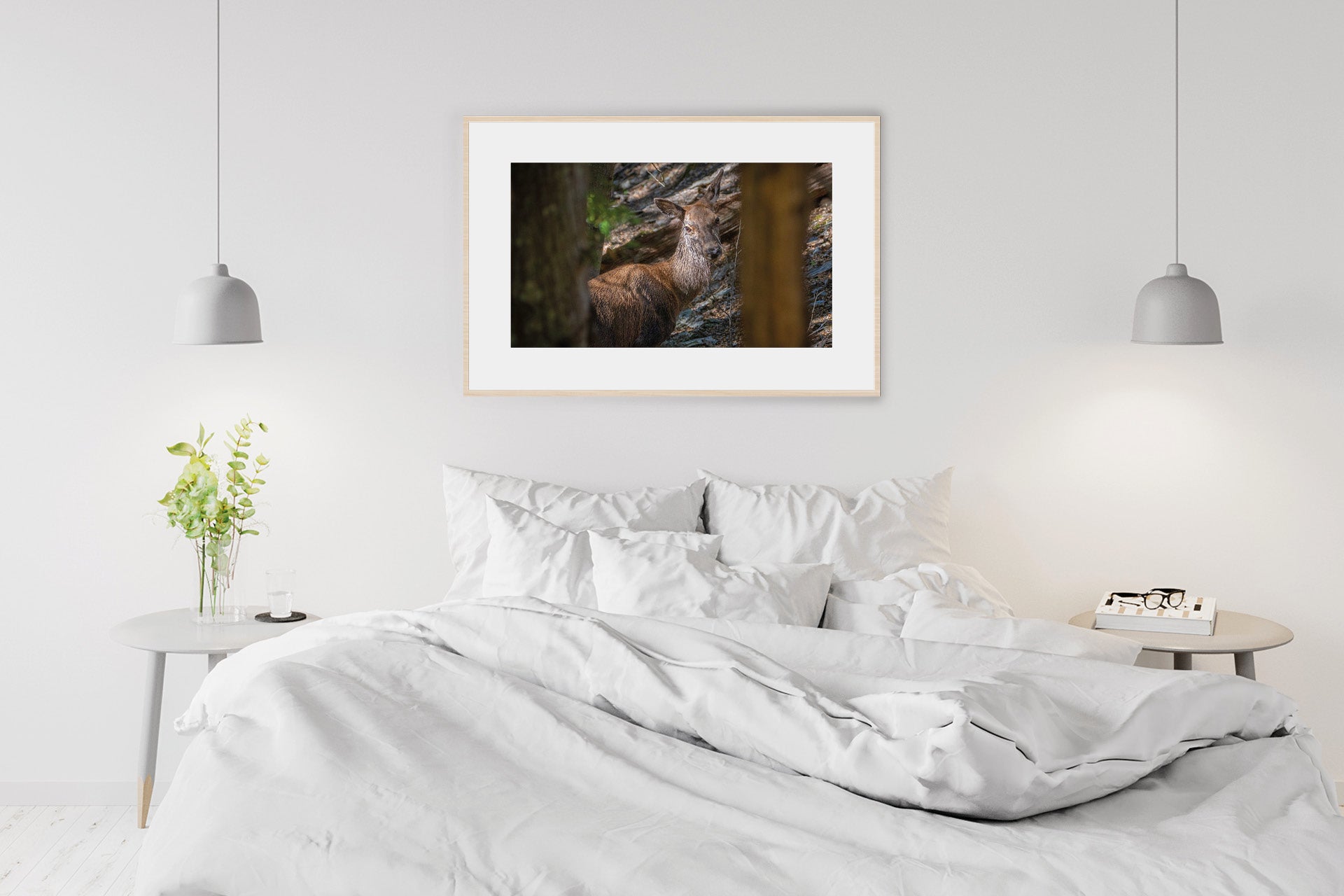 Picture of Red Deer