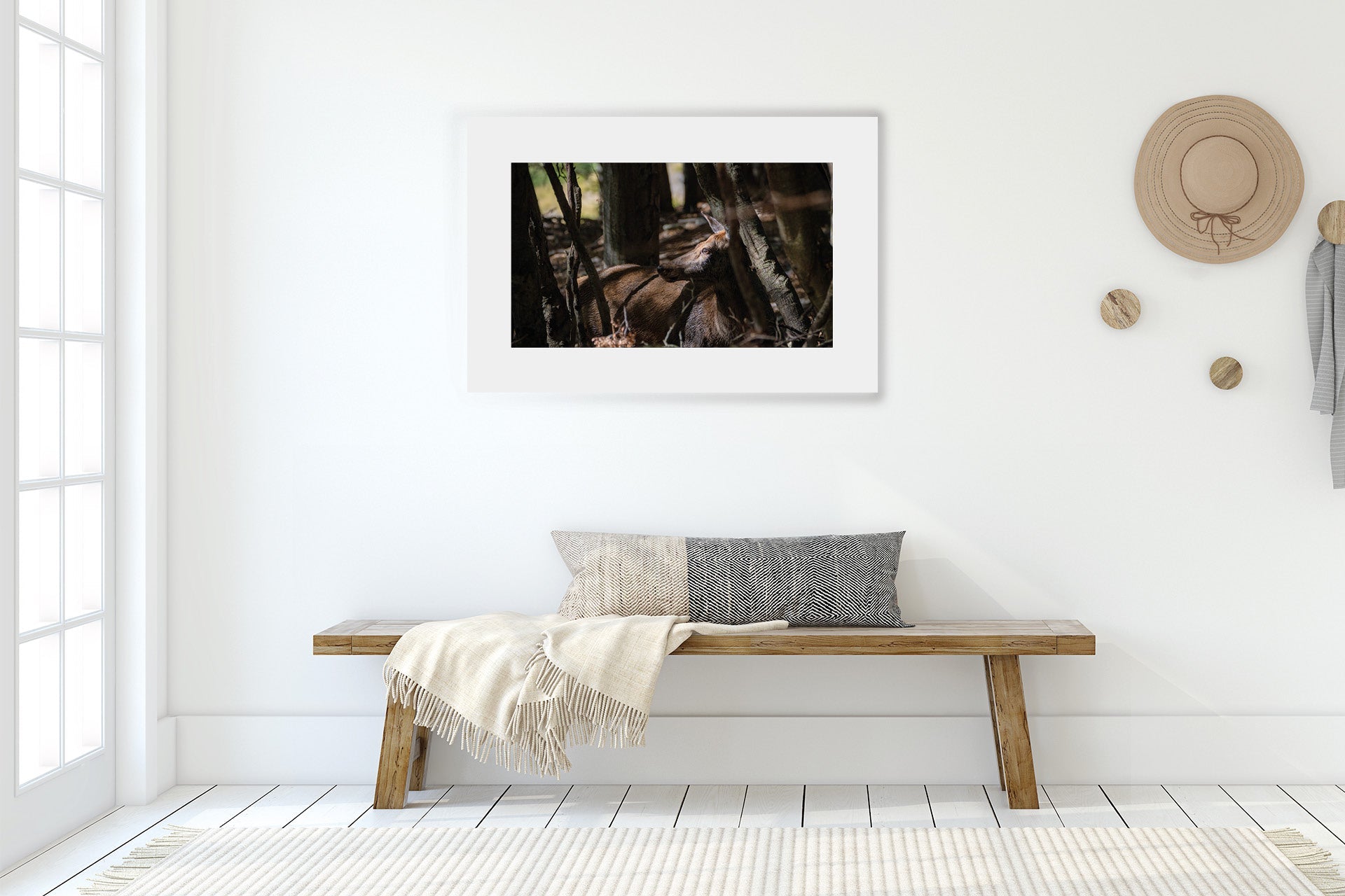 NZ Chamois Buck images