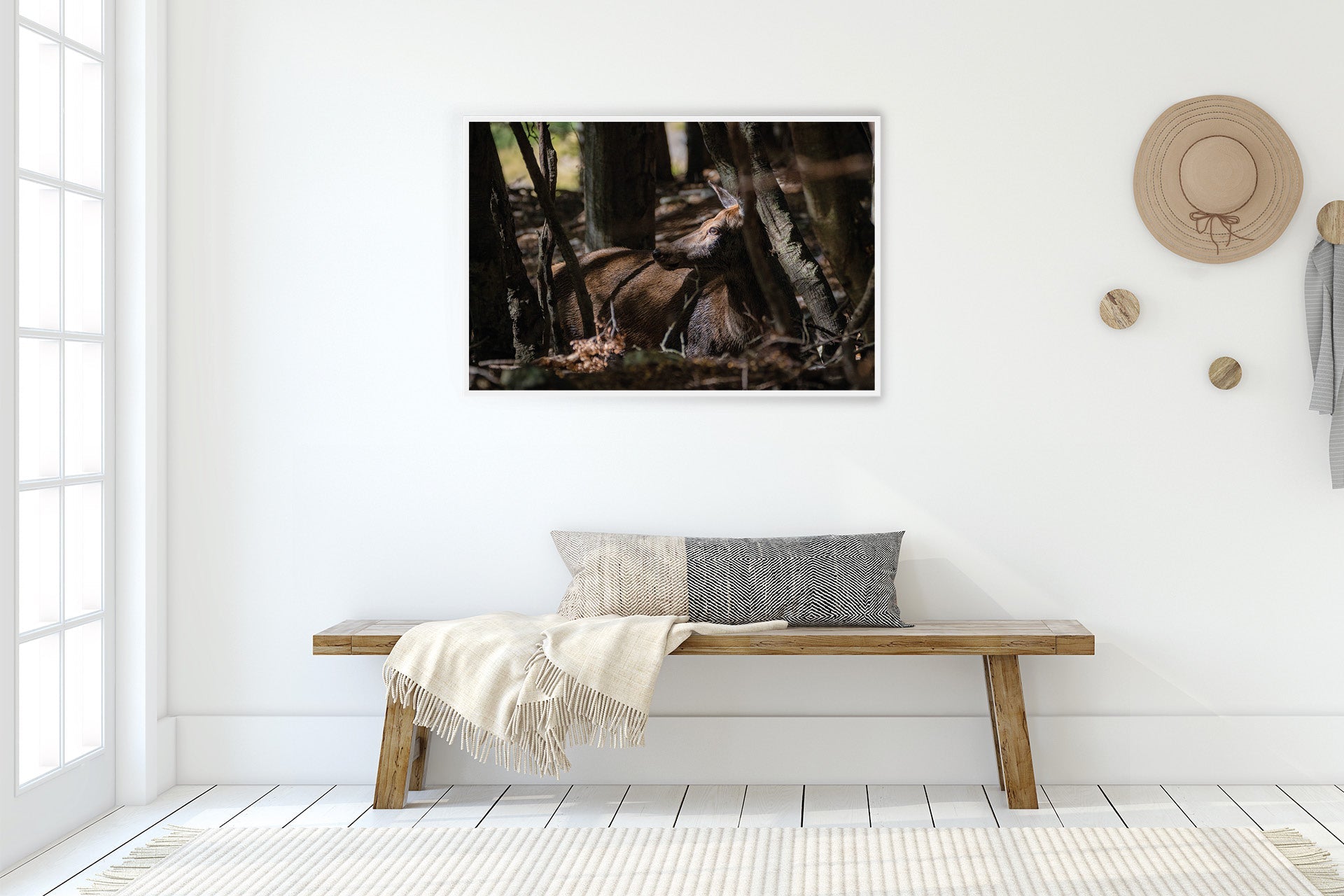 New Zealand Red Hind wall images