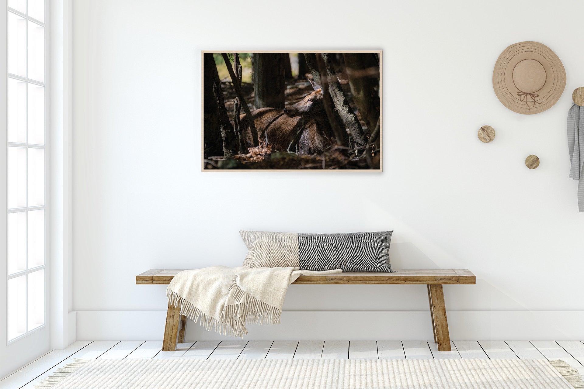New Zealand Red Deer Hind photograph