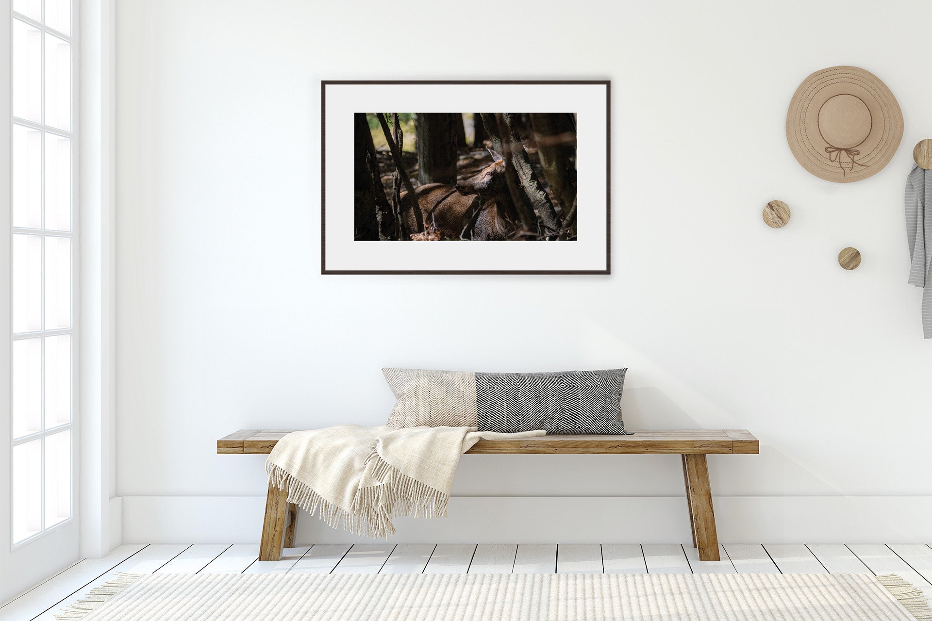 New Zealand Red Deer Hind photograph