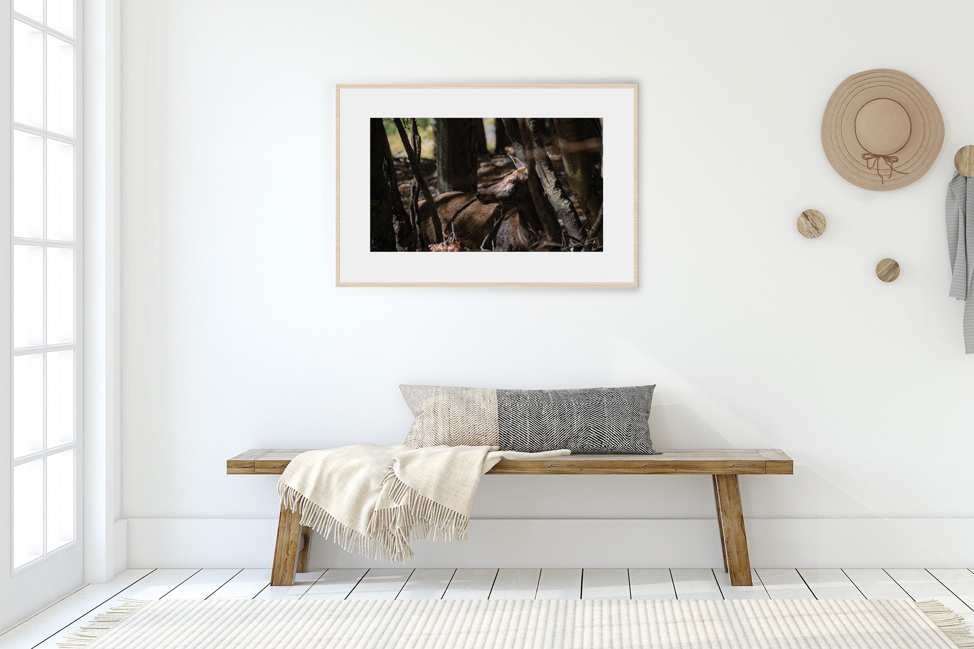 New Zealand Red Deer Hind photograph
