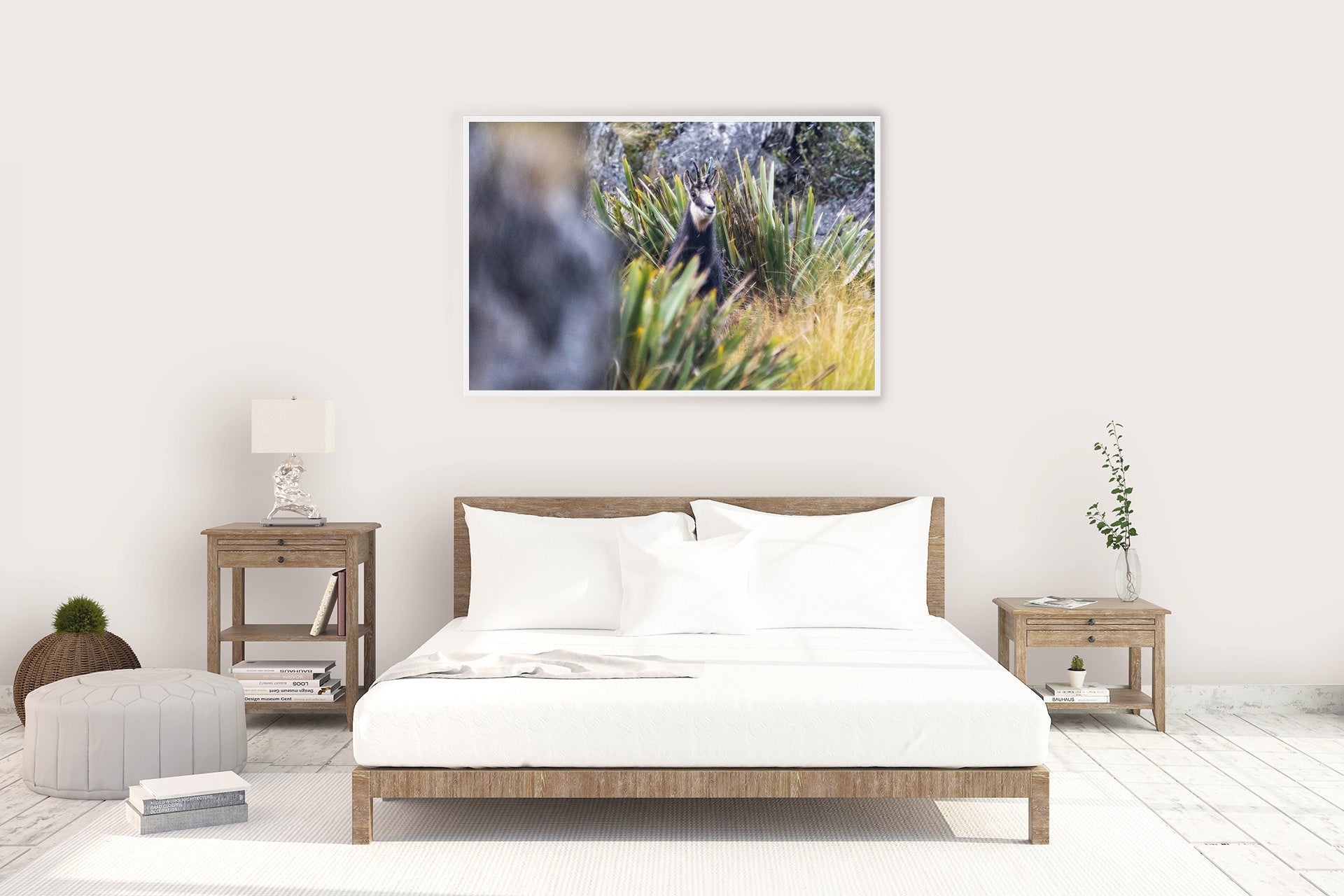 New Zealand Chamois Buck wall print