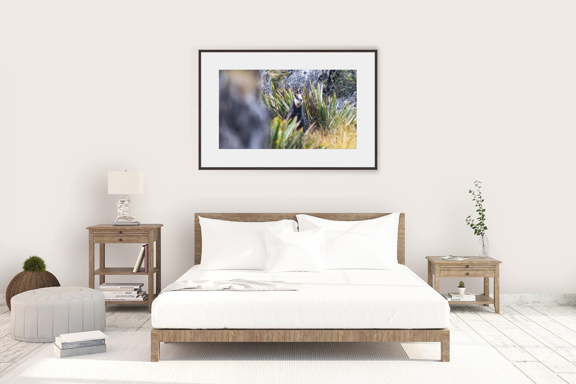 NZ Chamois Buck images