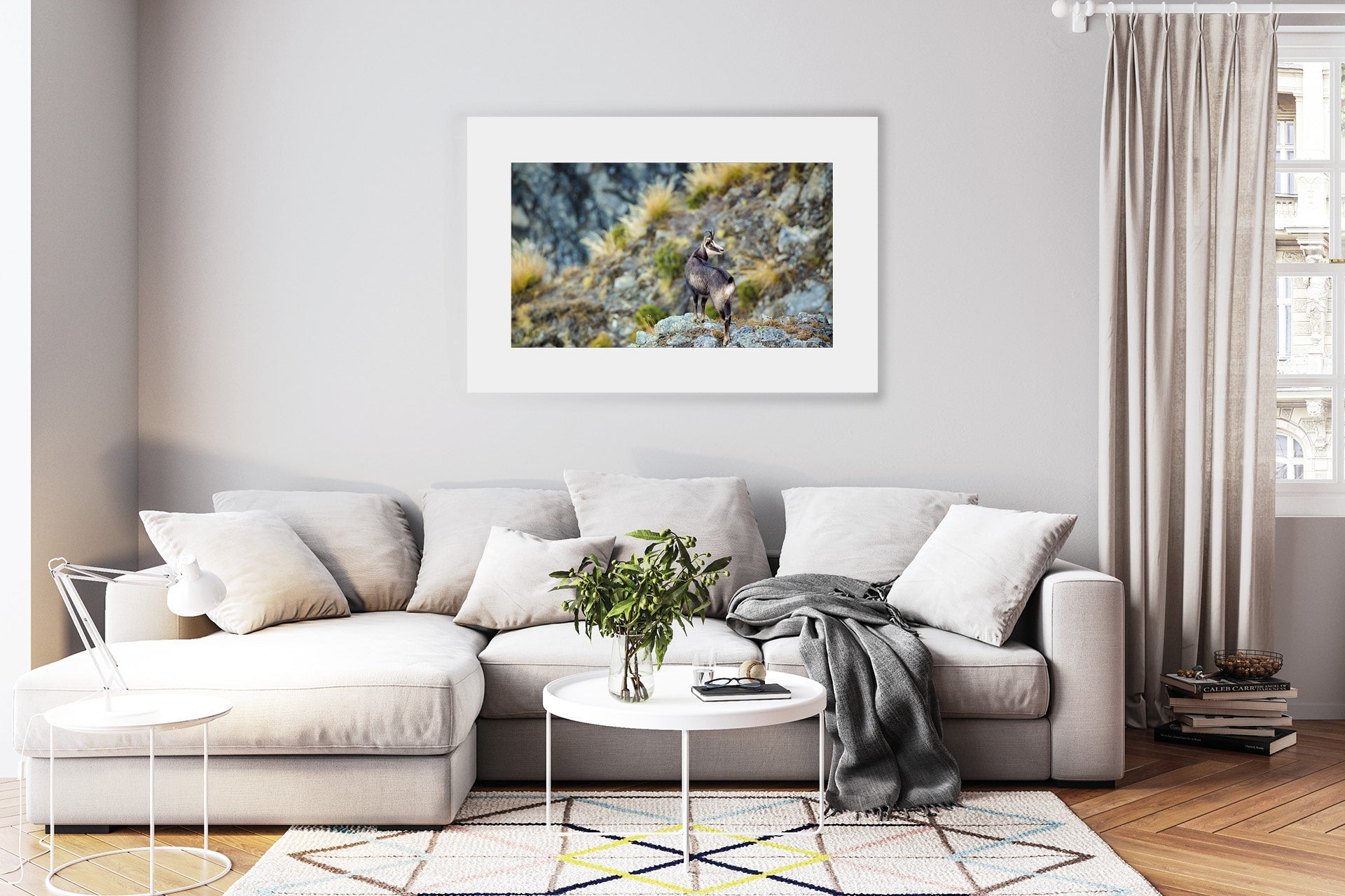Chamois Buck images