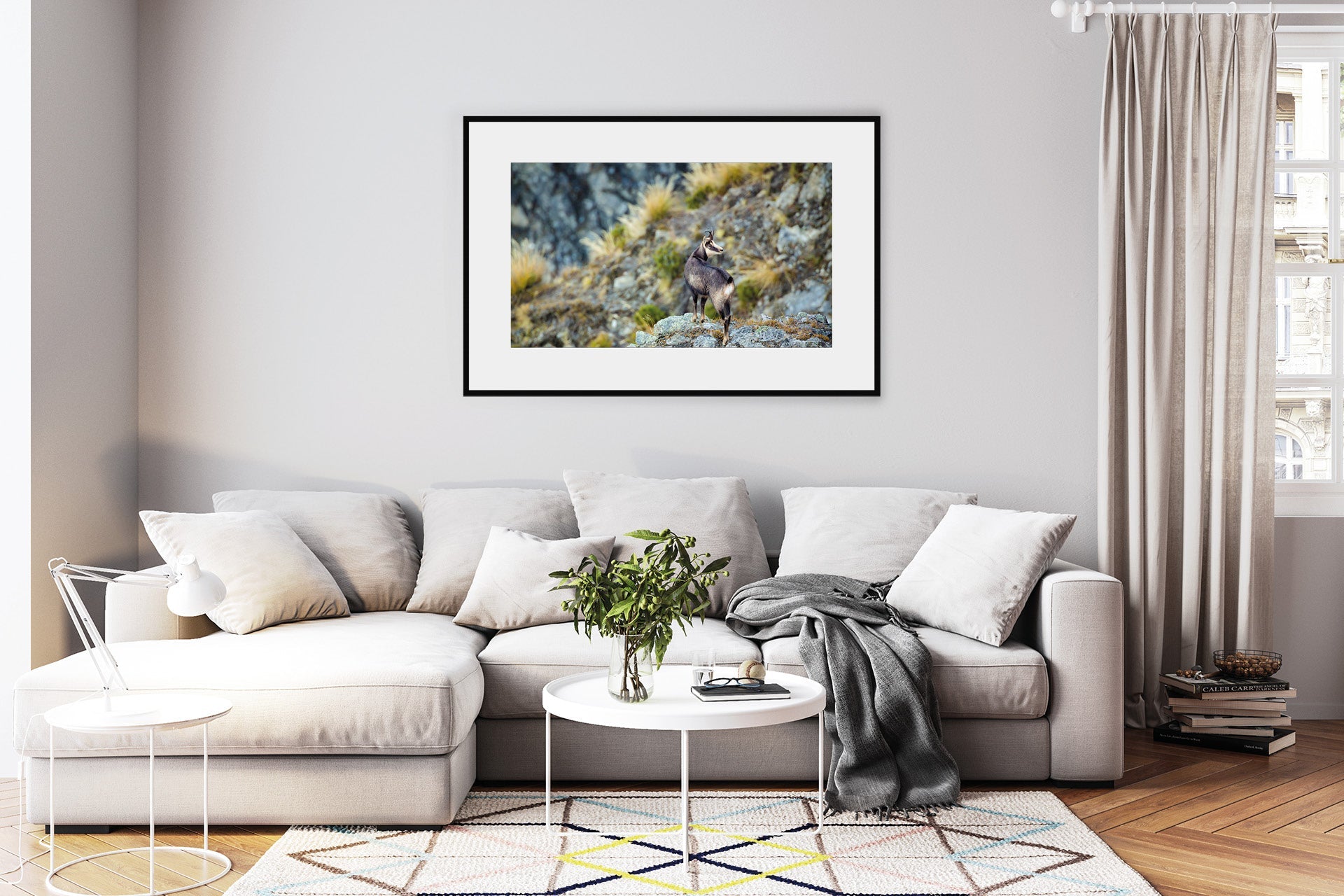 Mountain Chamois in The Southern Alps of New Zealand wall print