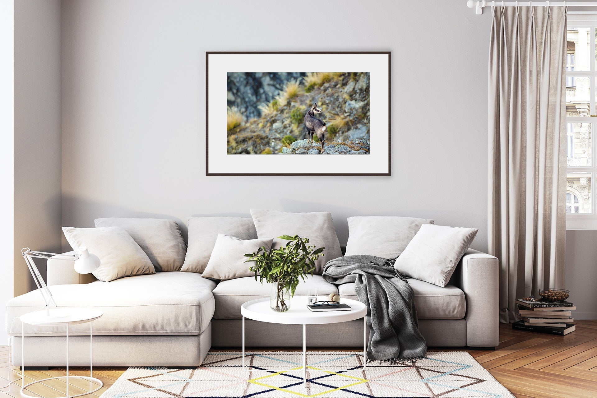 Chamois Buck images