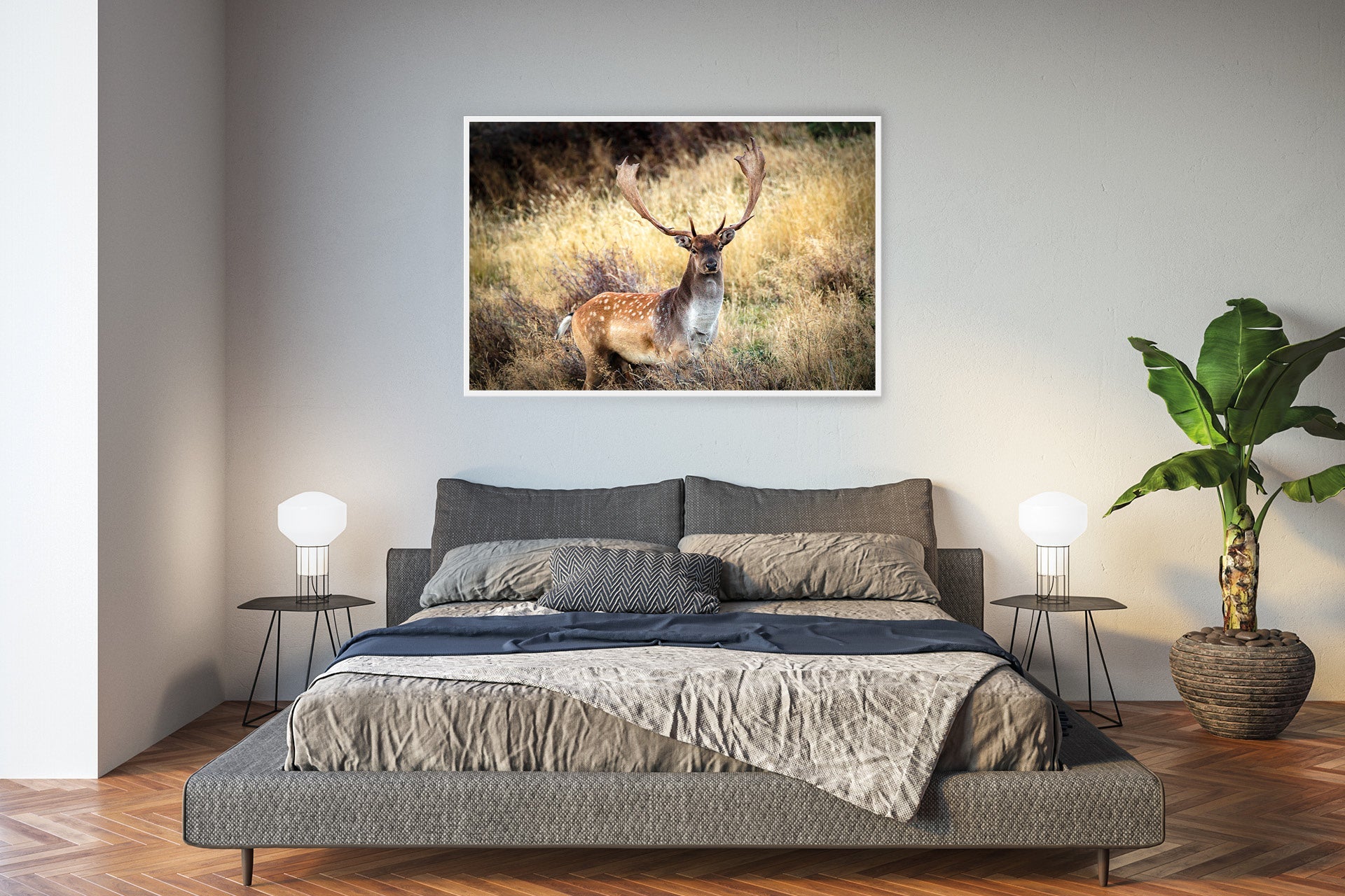 Fallow Buck wall print