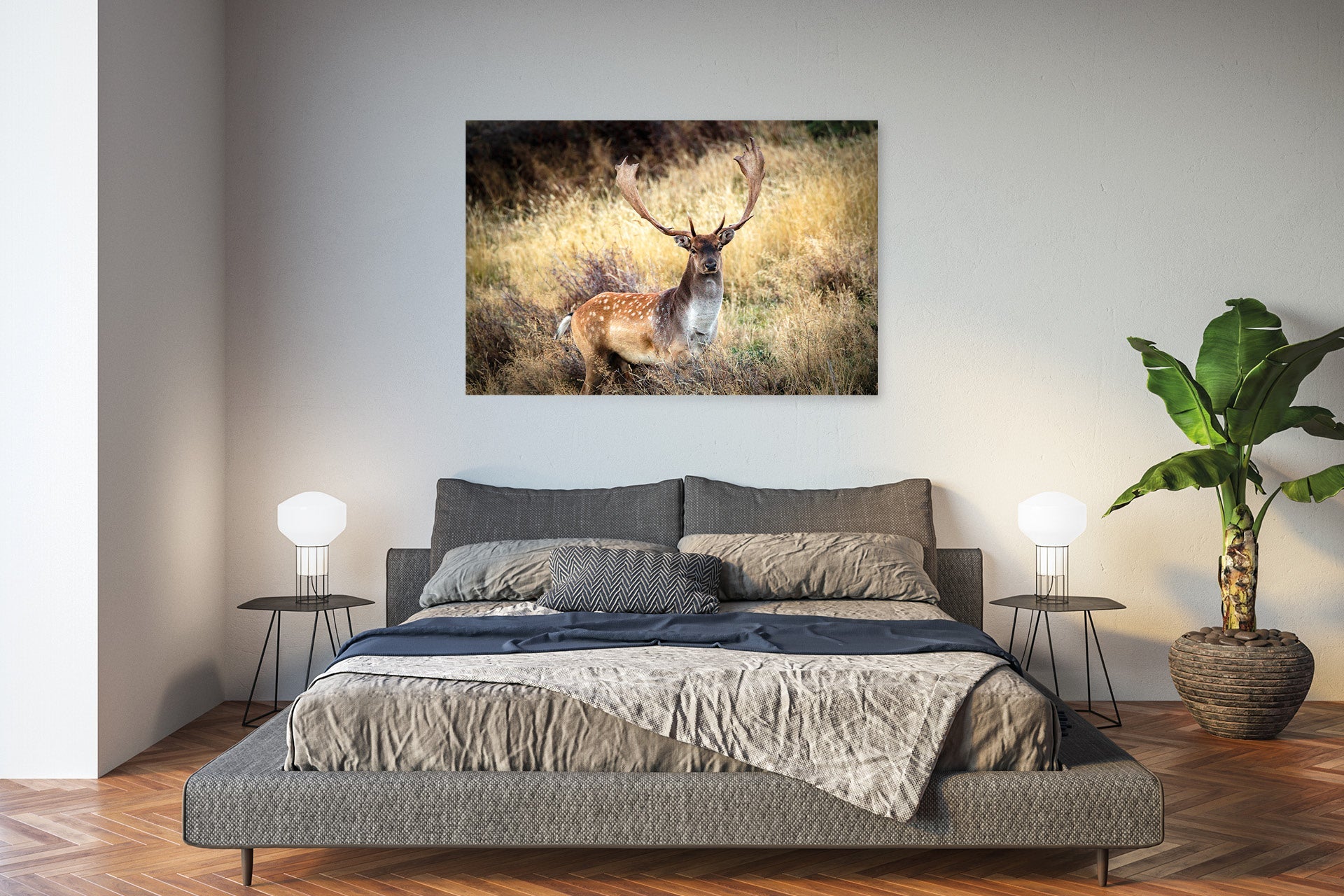 Fallow Buck wall print