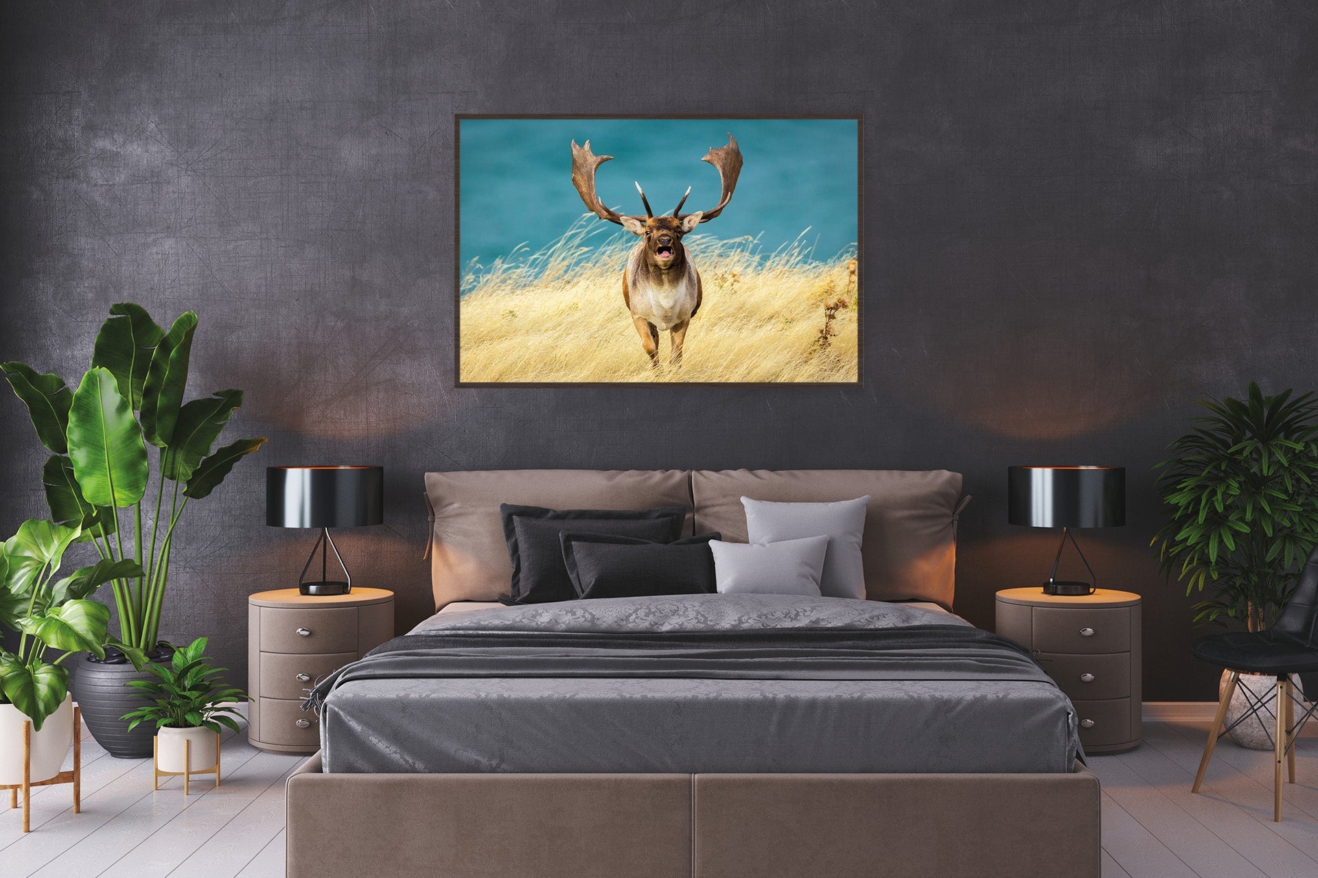 croaking fallow buck photo images