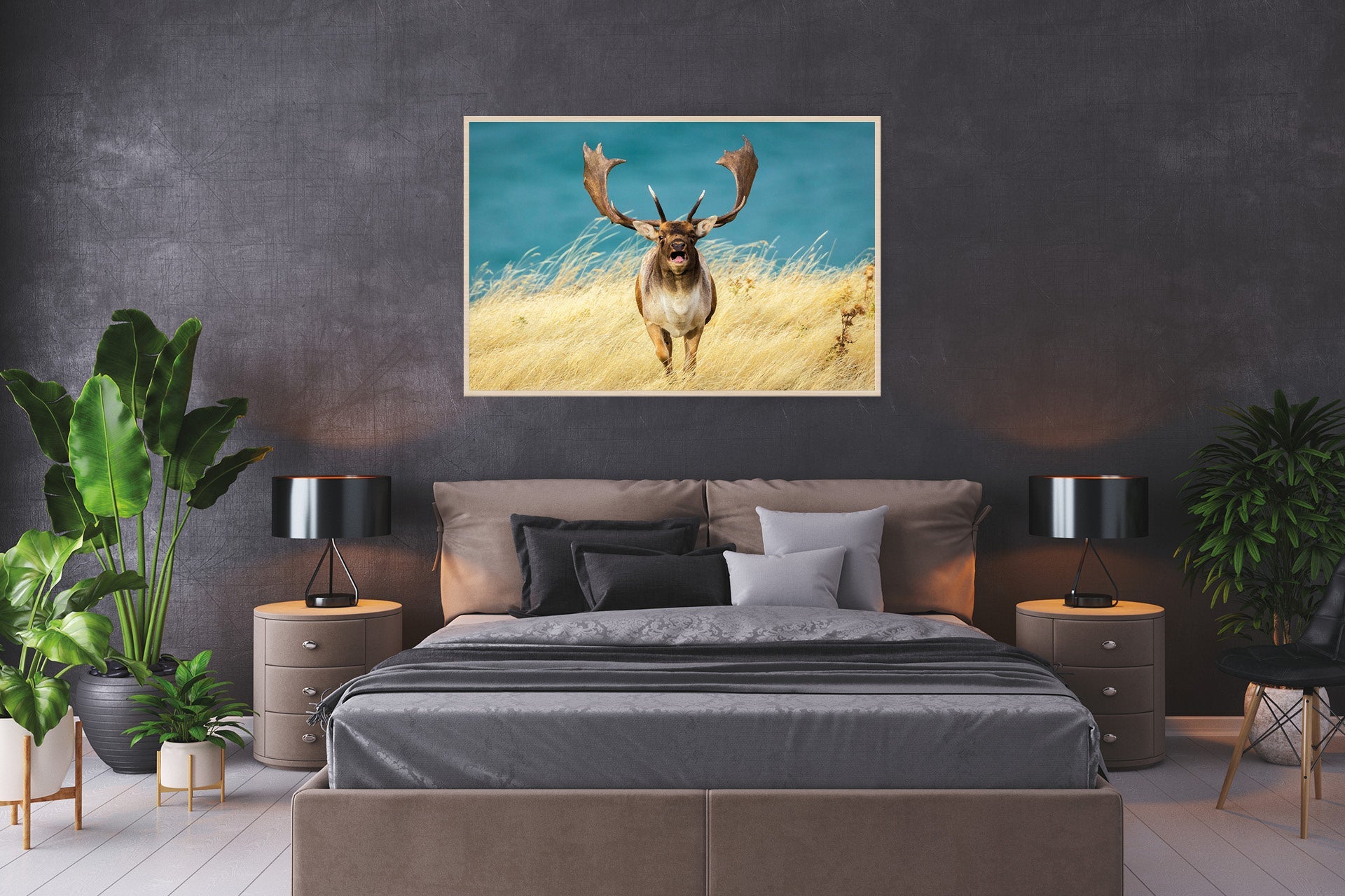 croaking fallow buck photo images