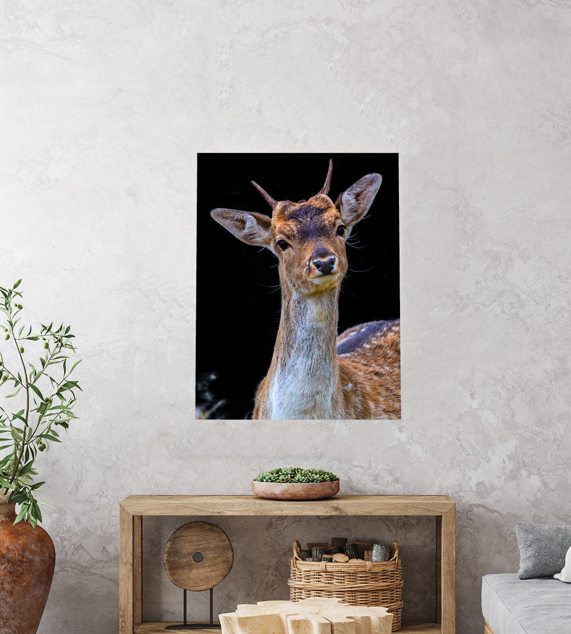 New Zealand fallow buck photography print