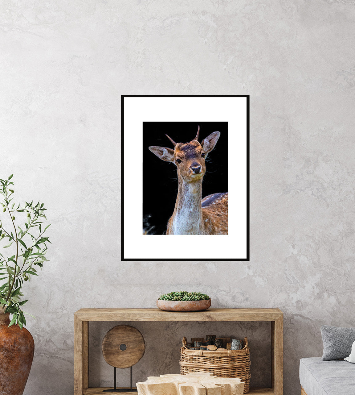 New Zealand fallow buck photography print