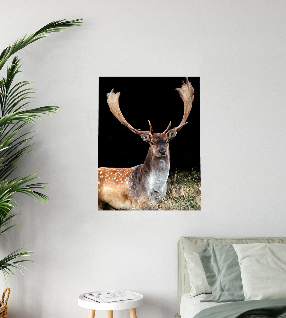 fallow buck wall print