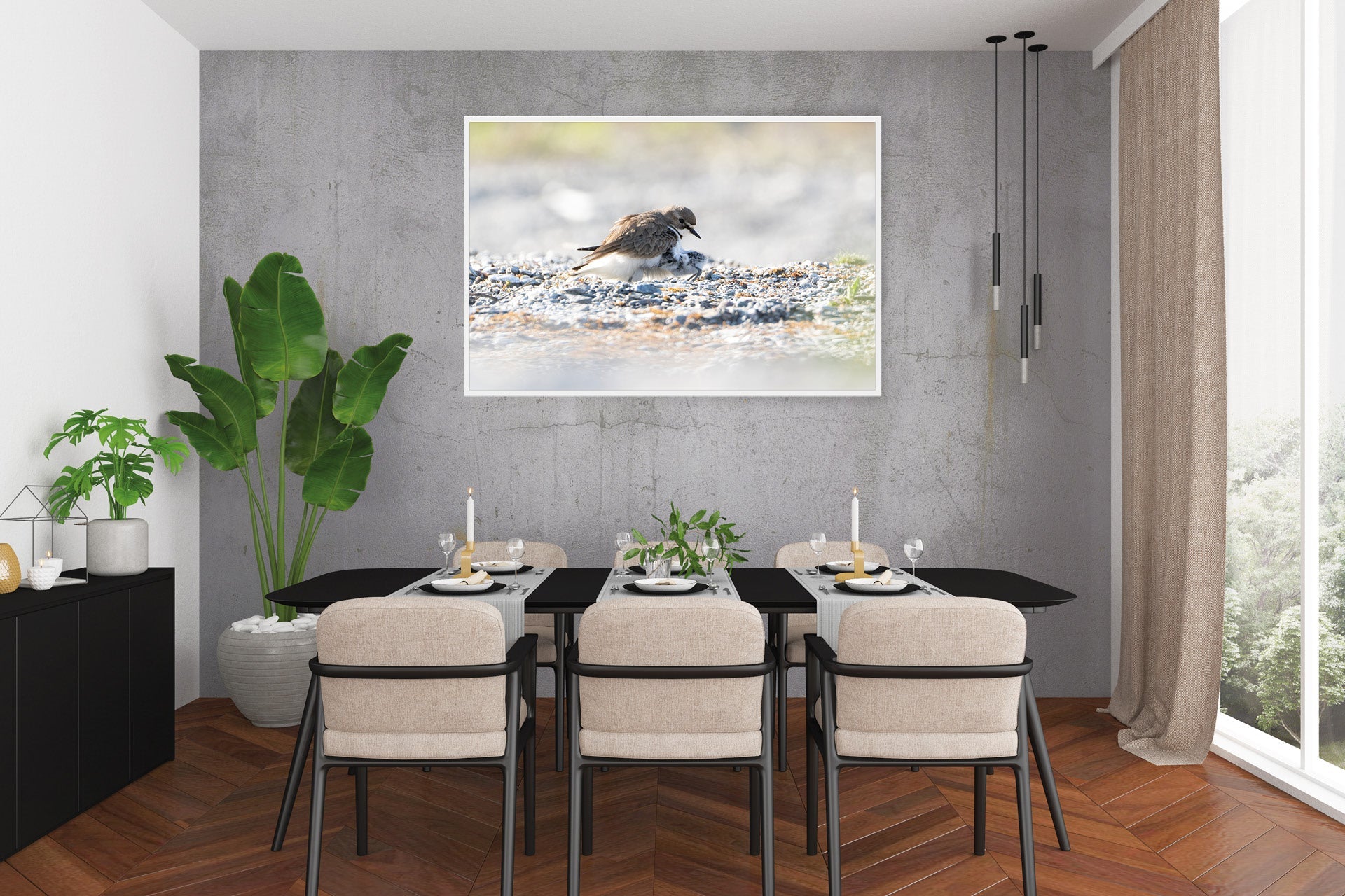 nz birds photo wall prints