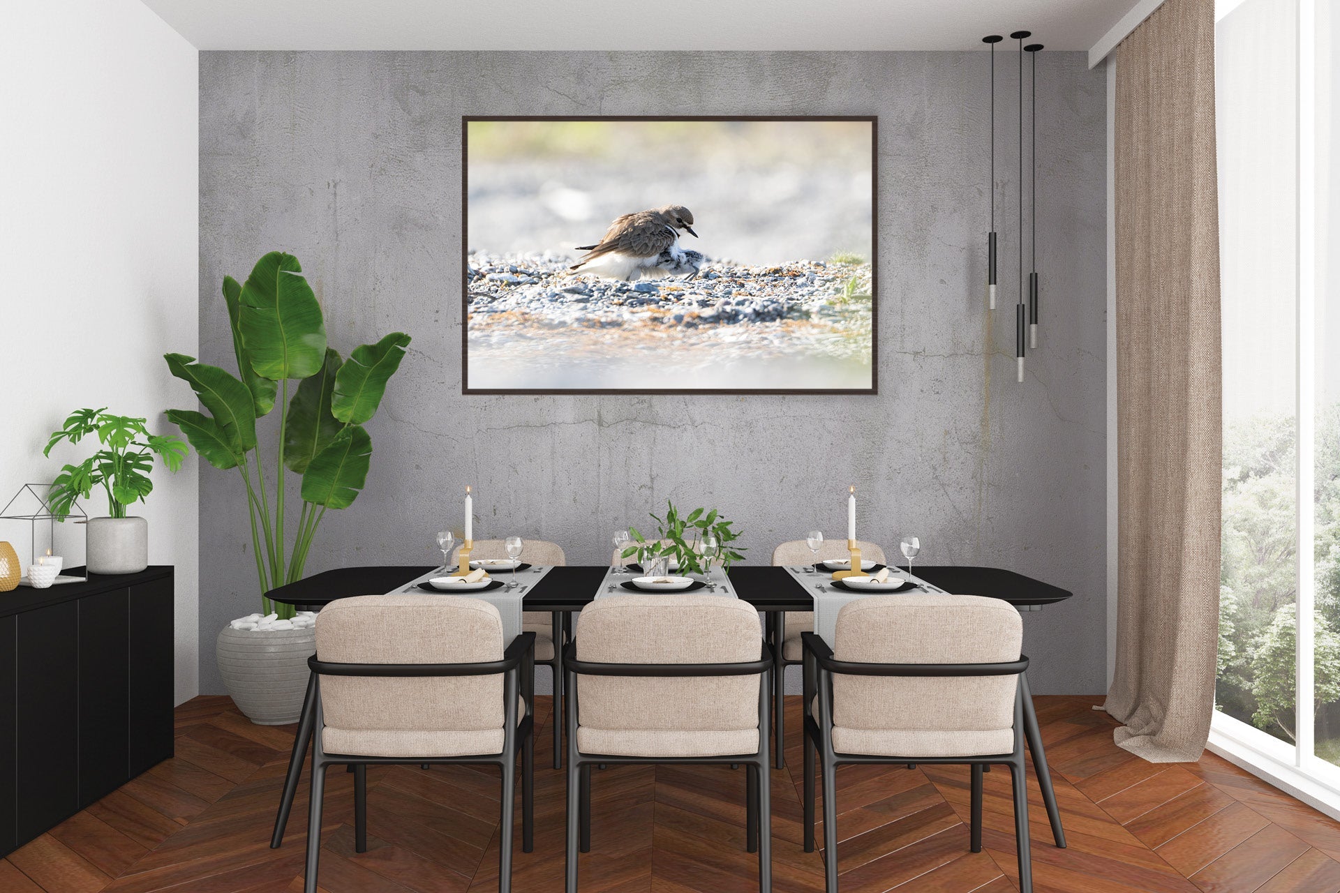 nz native birds wall prints