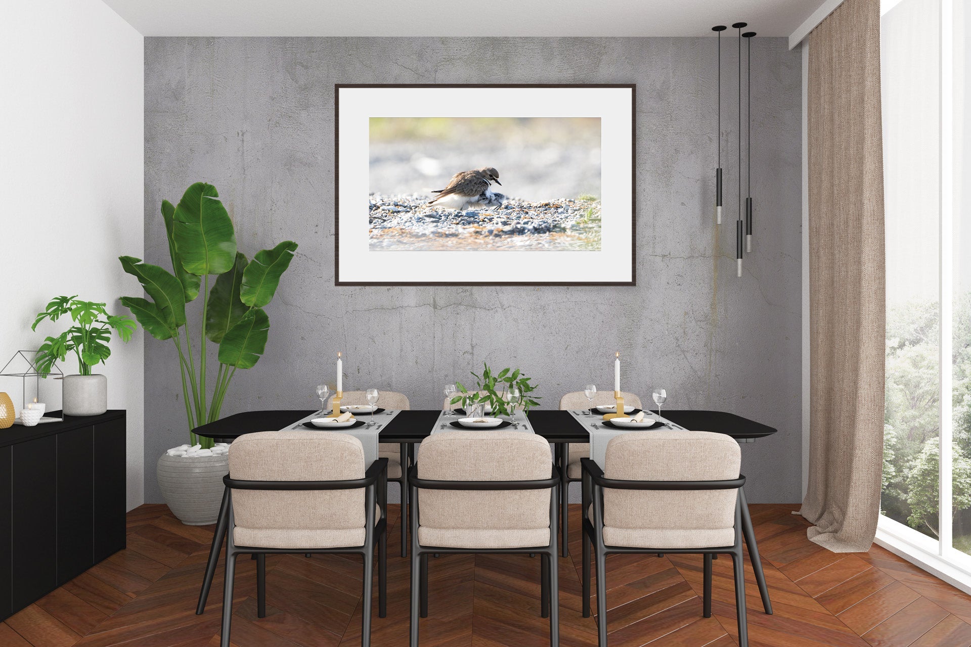new zealand native birds wall photos