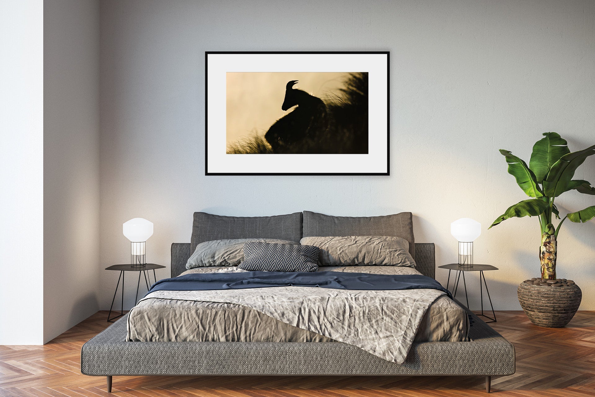 New Zealand tahr pictures wall photo