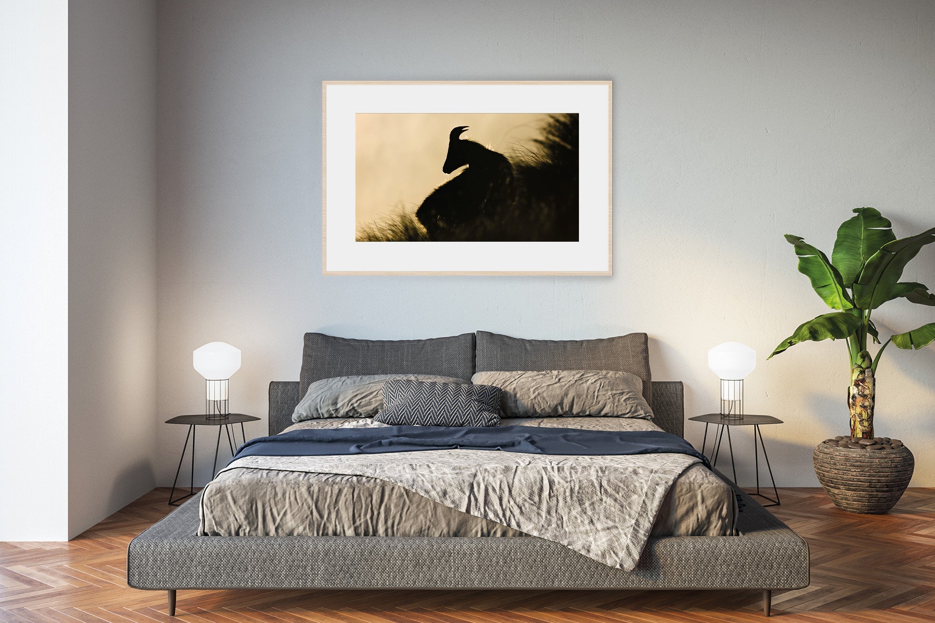 himalayan tahr photo wall print