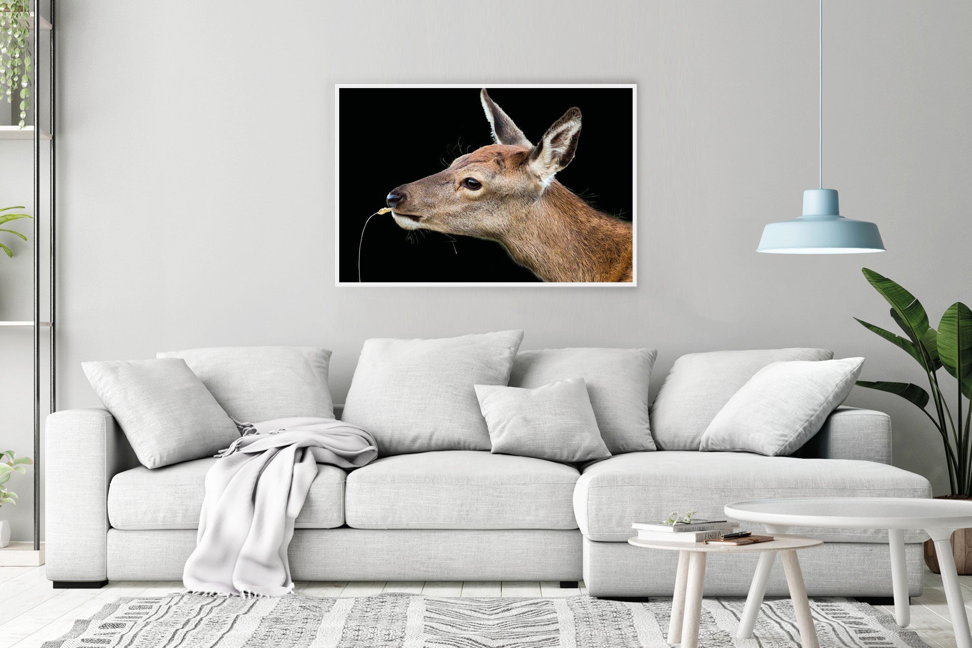 red deer fawn photo wall print