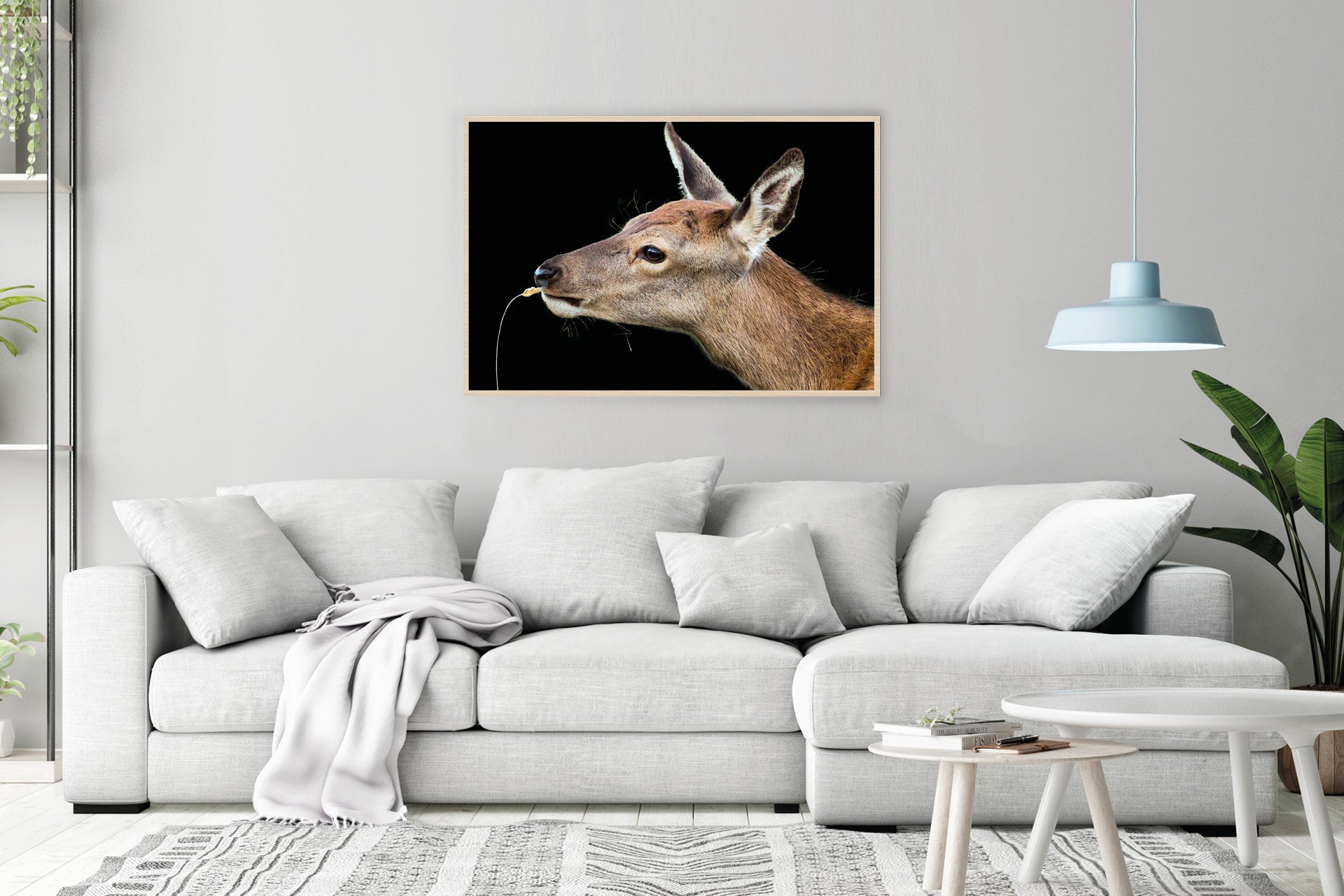 red deer fawn photo wall print