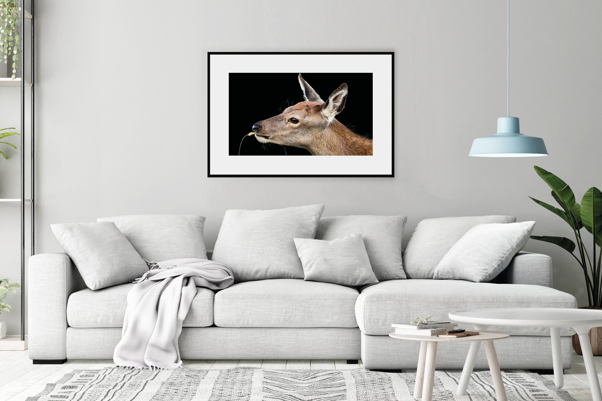 images of red deer wall print