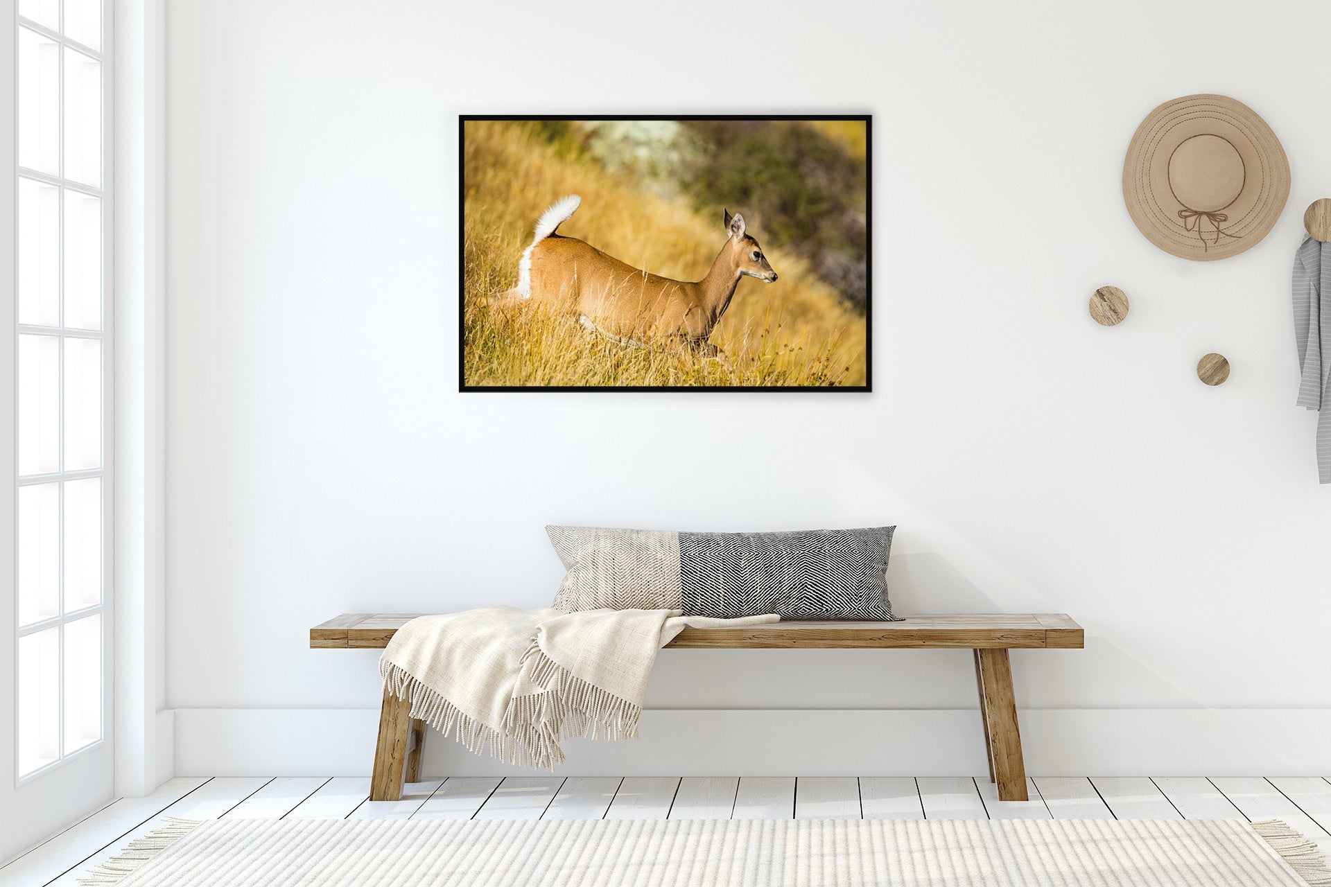 The Game Is Up | New Zealand Whitetail Doe on Alert — Wildlife Portrait