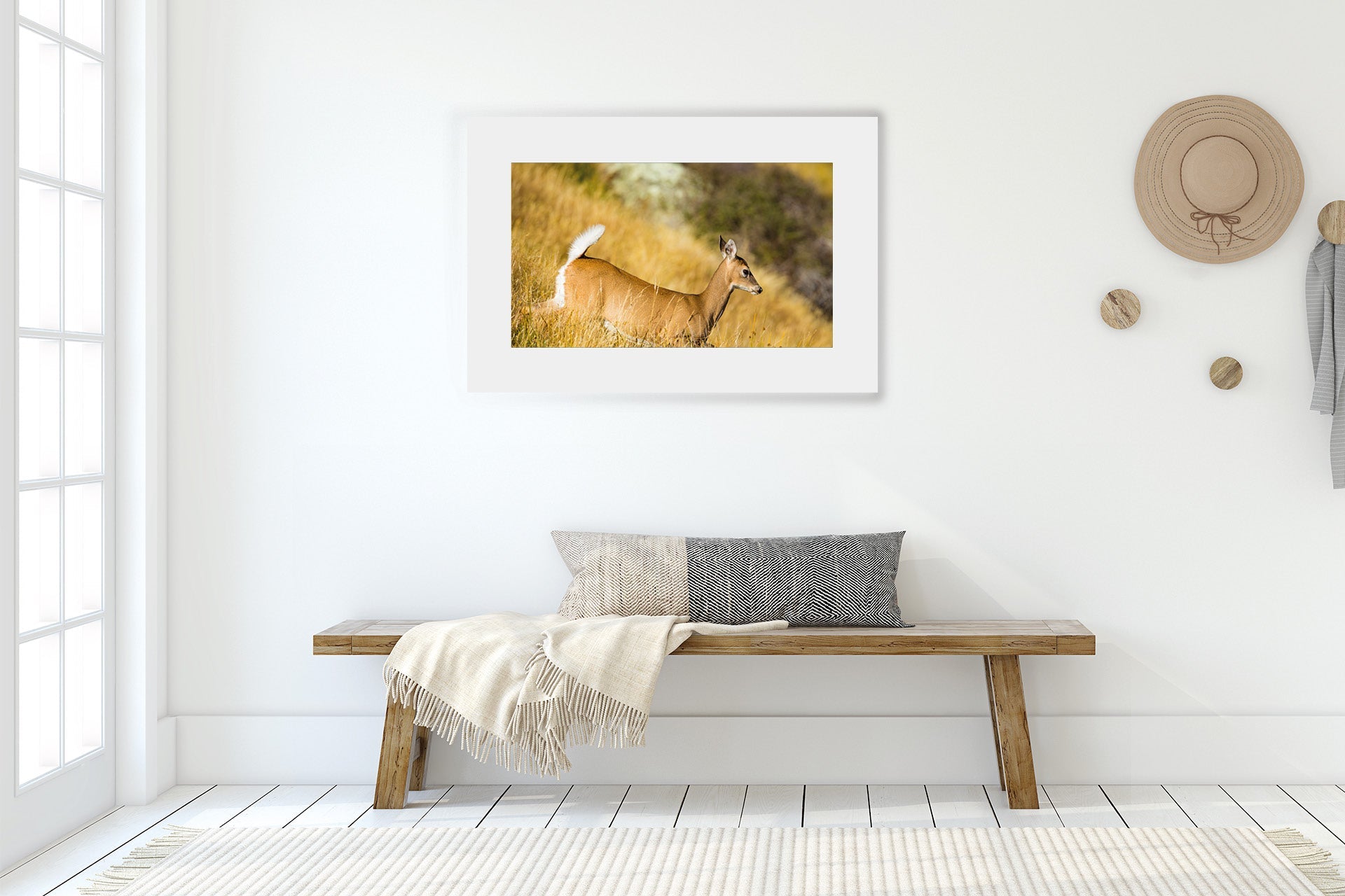 The Game Is Up | New Zealand Whitetail Doe on Alert — Wildlife Portrait