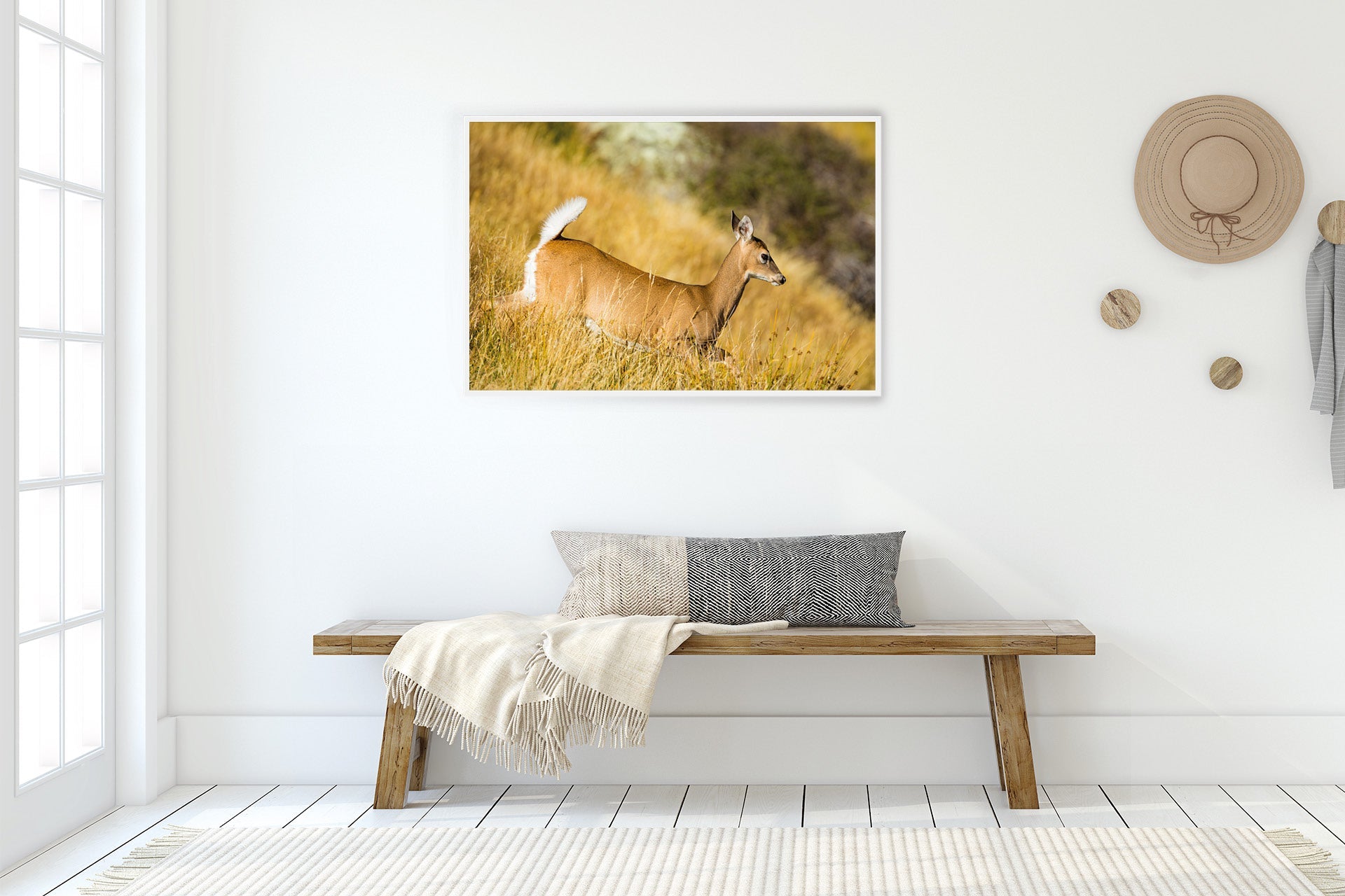 The Game Is Up | New Zealand Whitetail Doe on Alert — Wildlife Portrait