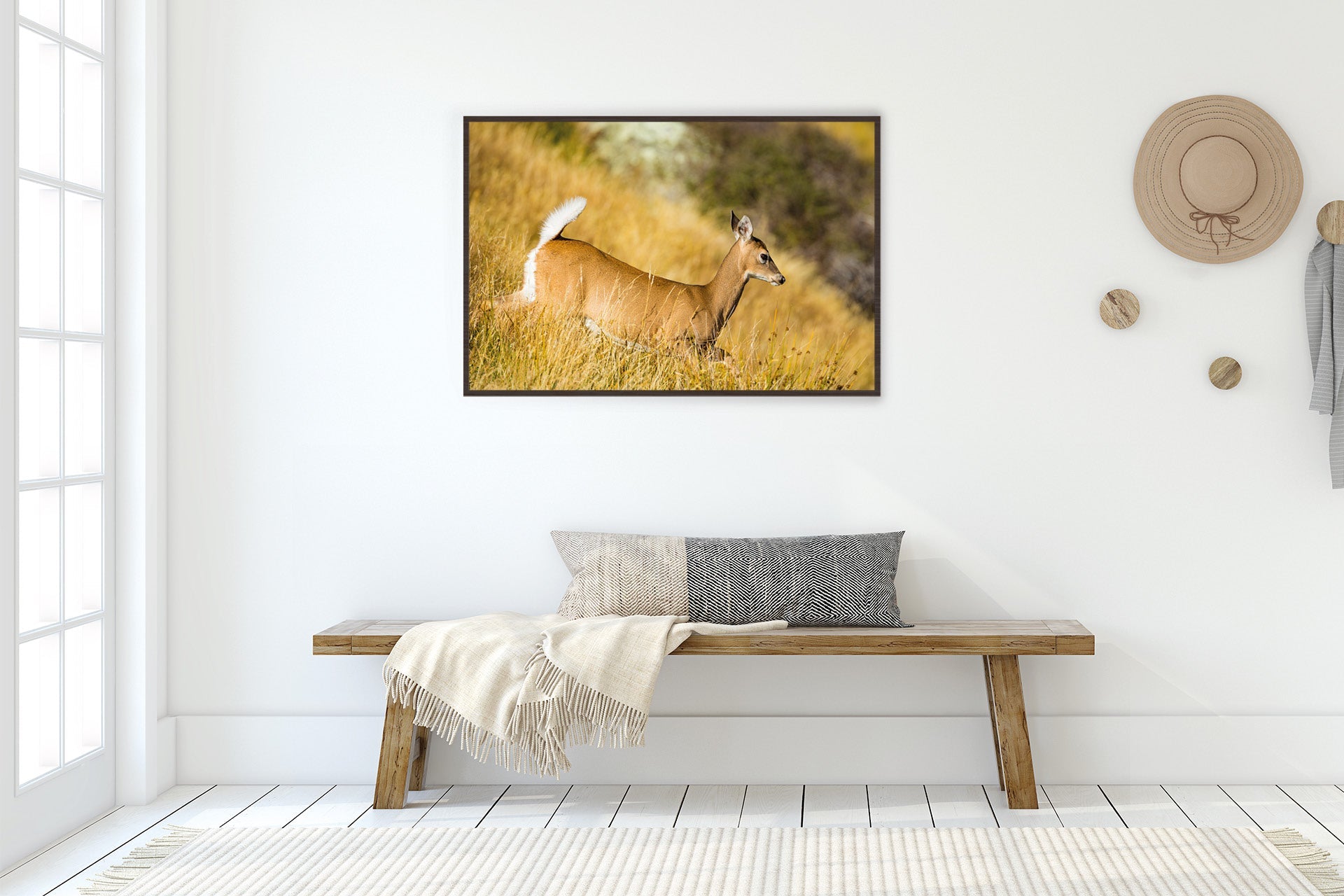 The Game Is Up | New Zealand Whitetail Doe on Alert — Wildlife Portrait