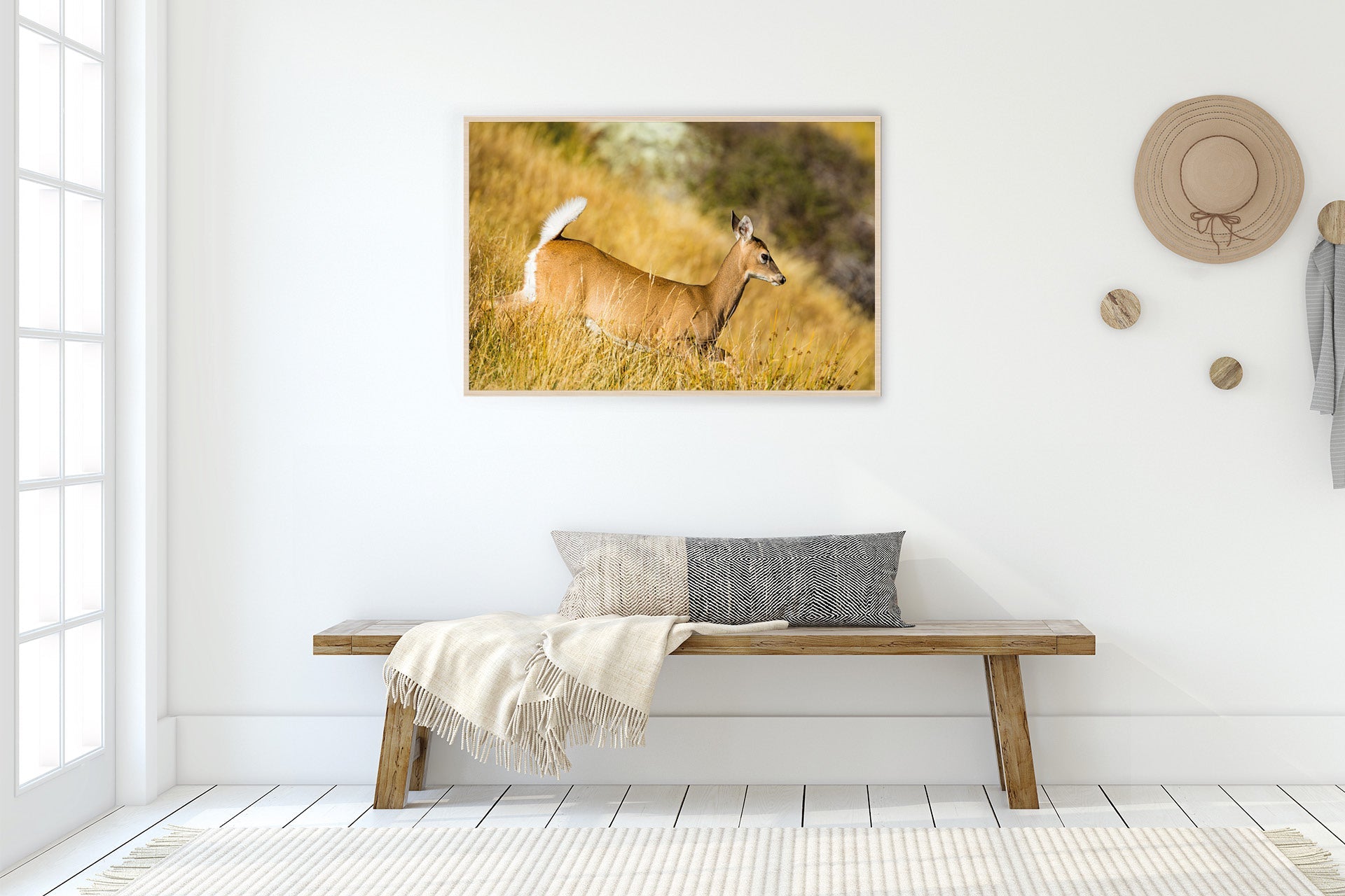 The Game Is Up | New Zealand Whitetail Doe on Alert — Wildlife Portrait