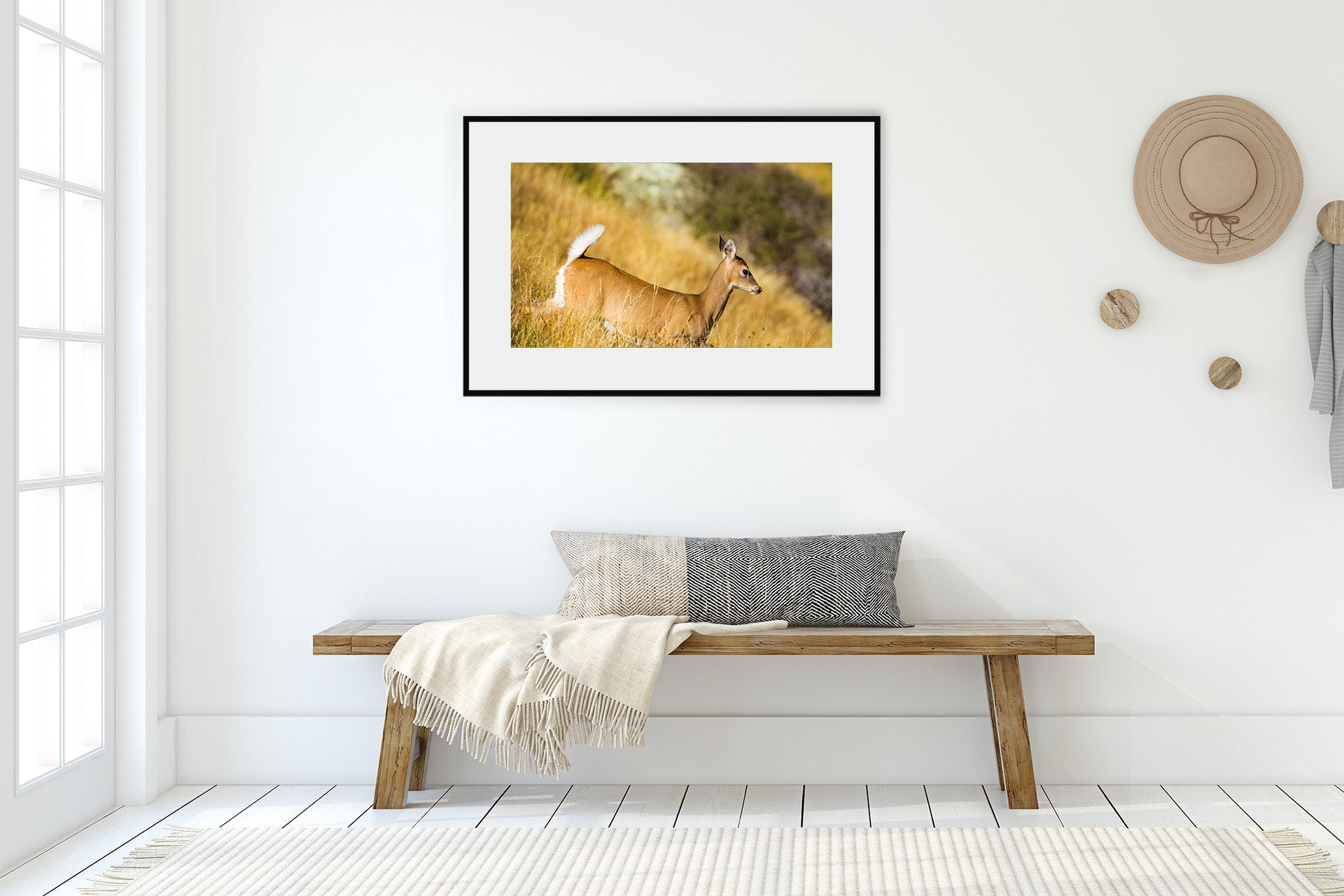 The Game Is Up | New Zealand Whitetail Doe on Alert — Wildlife Portrait