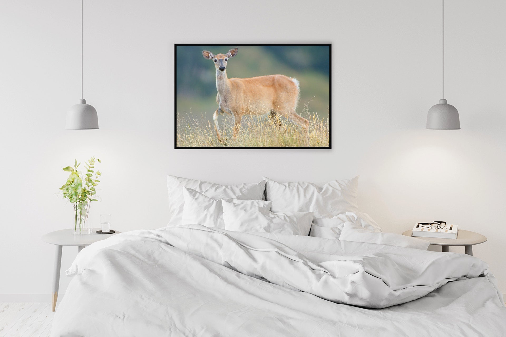 New Zealand whitetail wall print