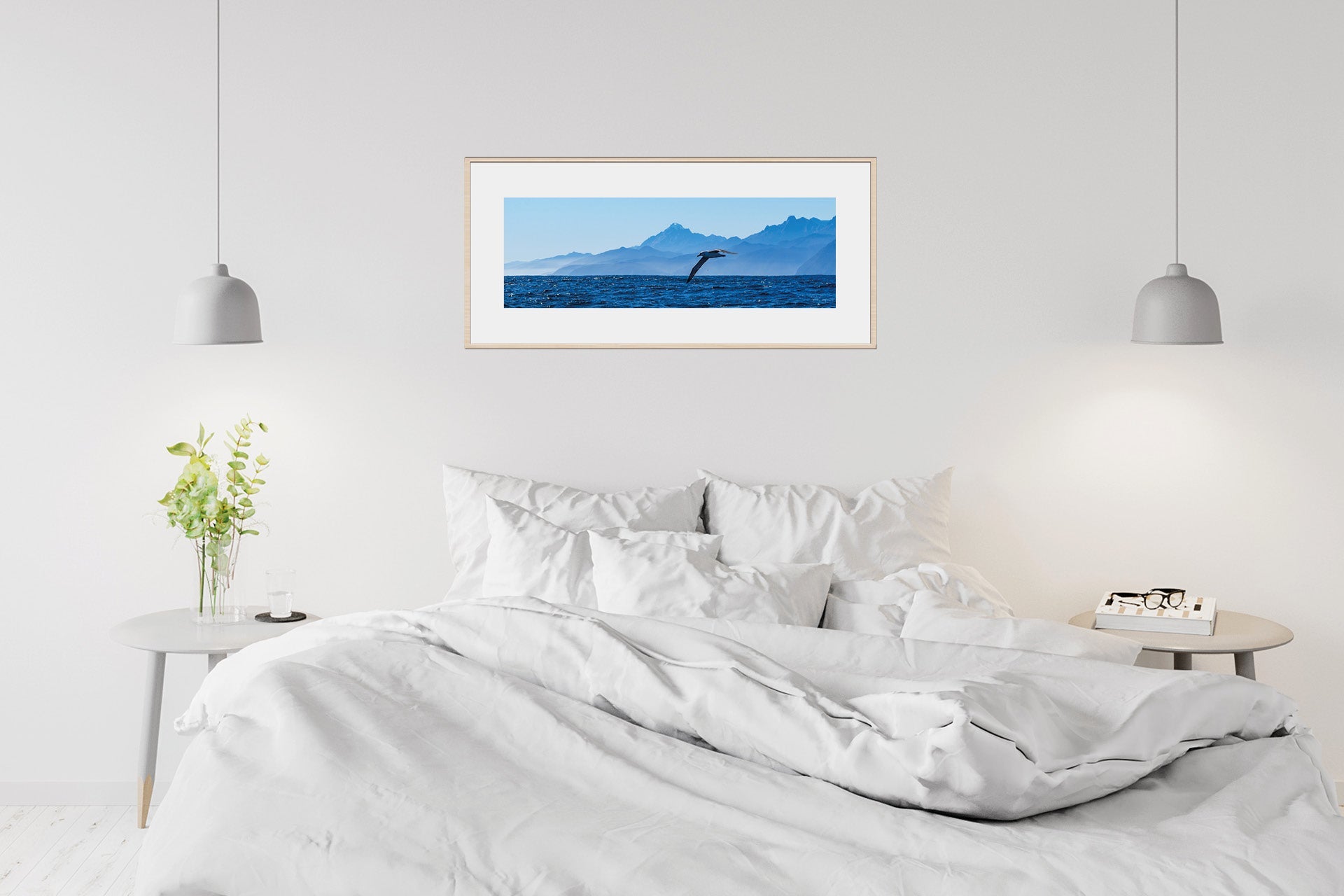 The Drifter | Fiordland Albatross off West Coast — Wildlife Portrait