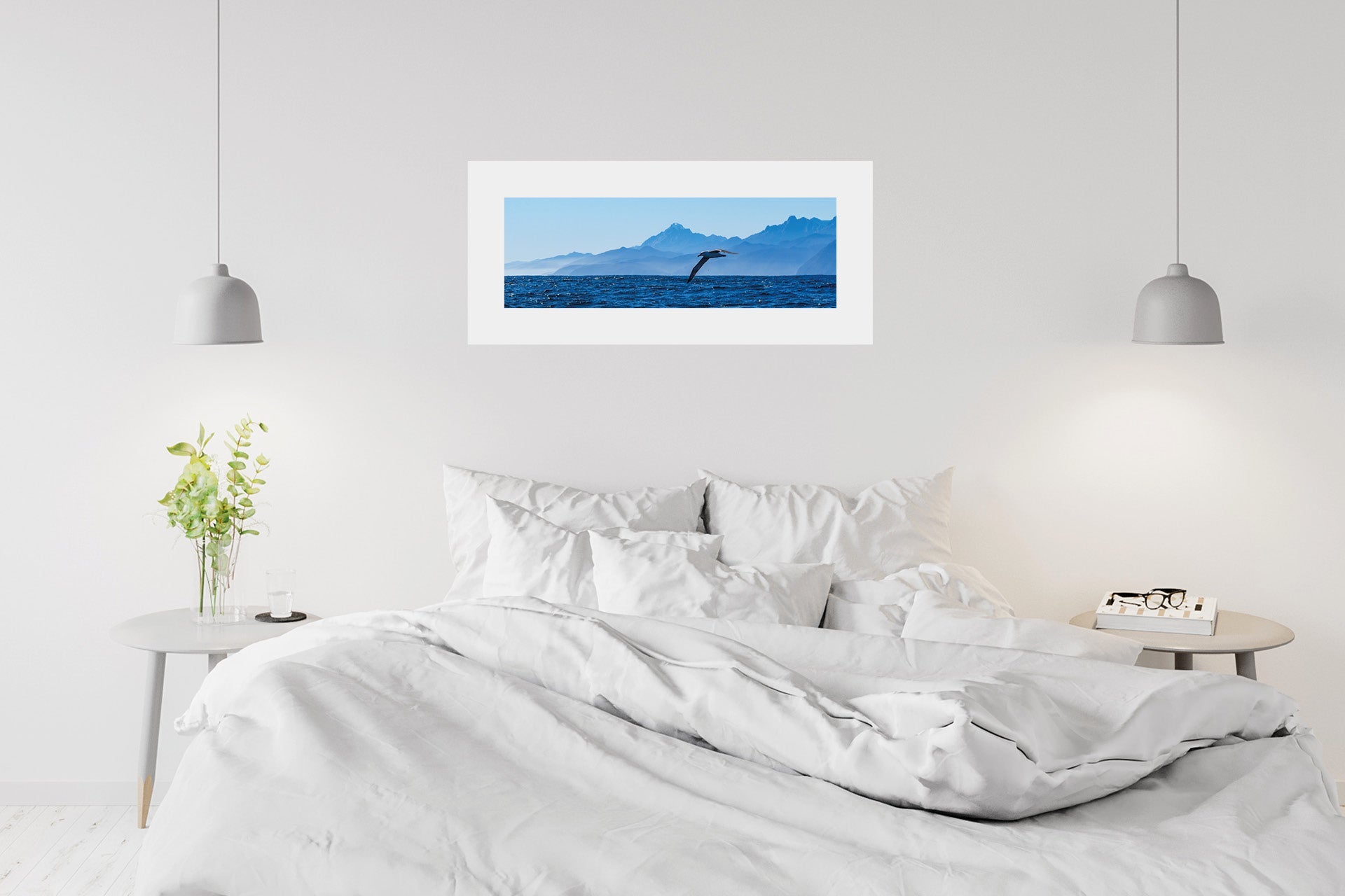 The Drifter | Fiordland Albatross off West Coast — Wildlife Portrait