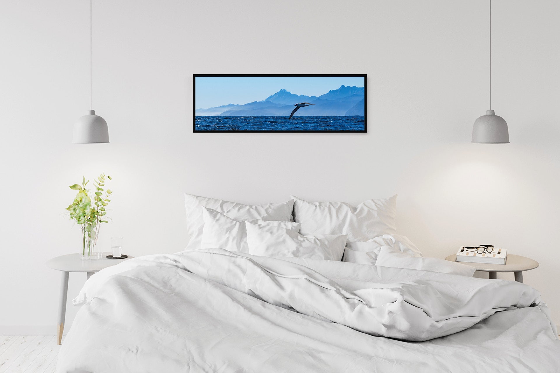 The Drifter | Fiordland Albatross off West Coast — Wildlife Portrait