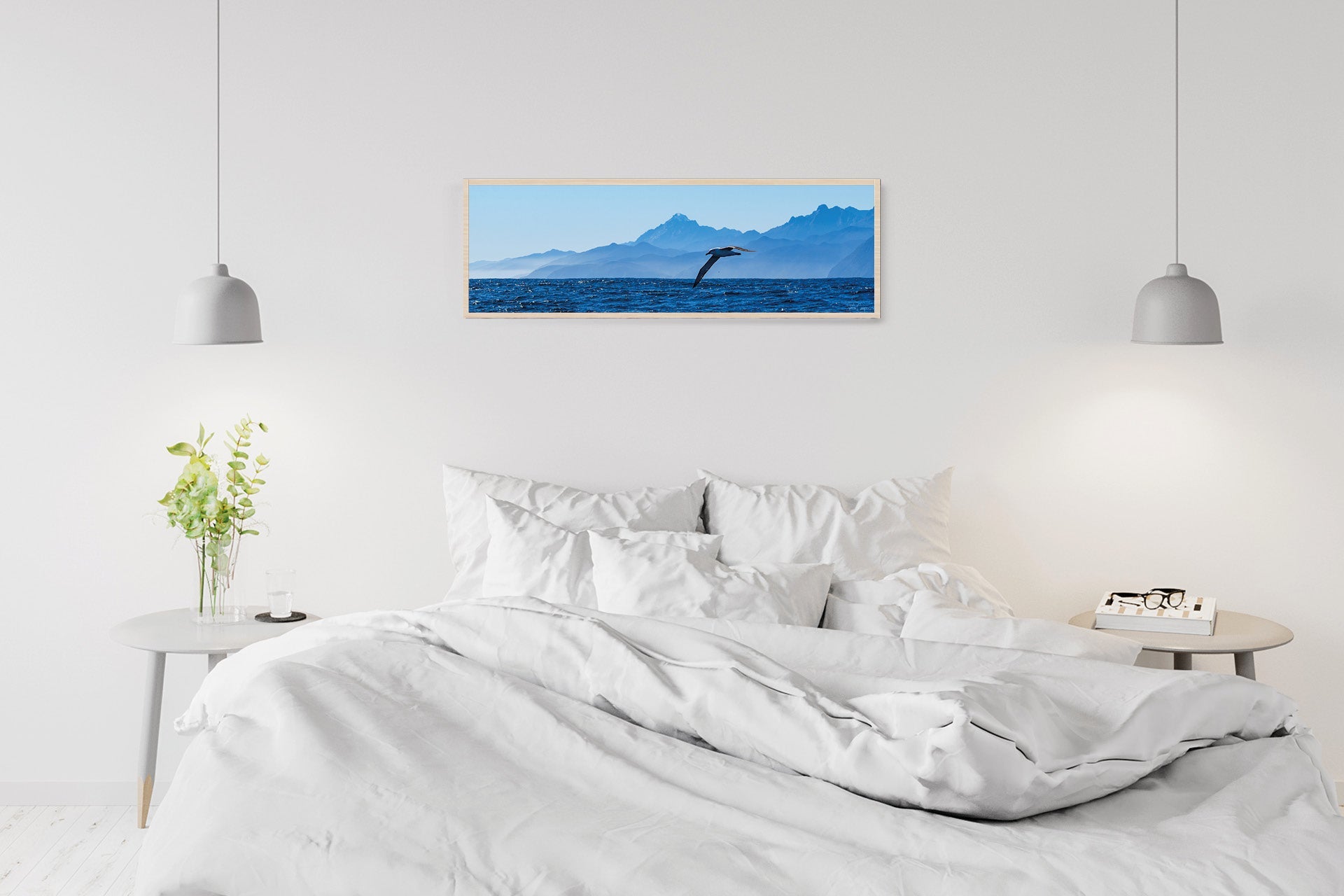 The Drifter | Fiordland Albatross off West Coast — Wildlife Portrait