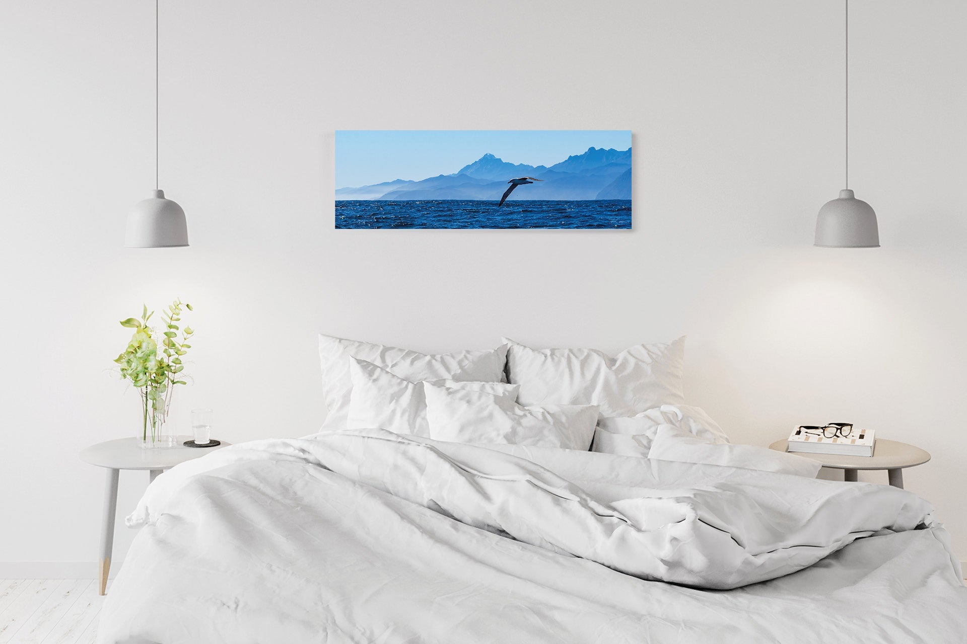The Drifter | Fiordland Albatross off West Coast — Wildlife Portrait