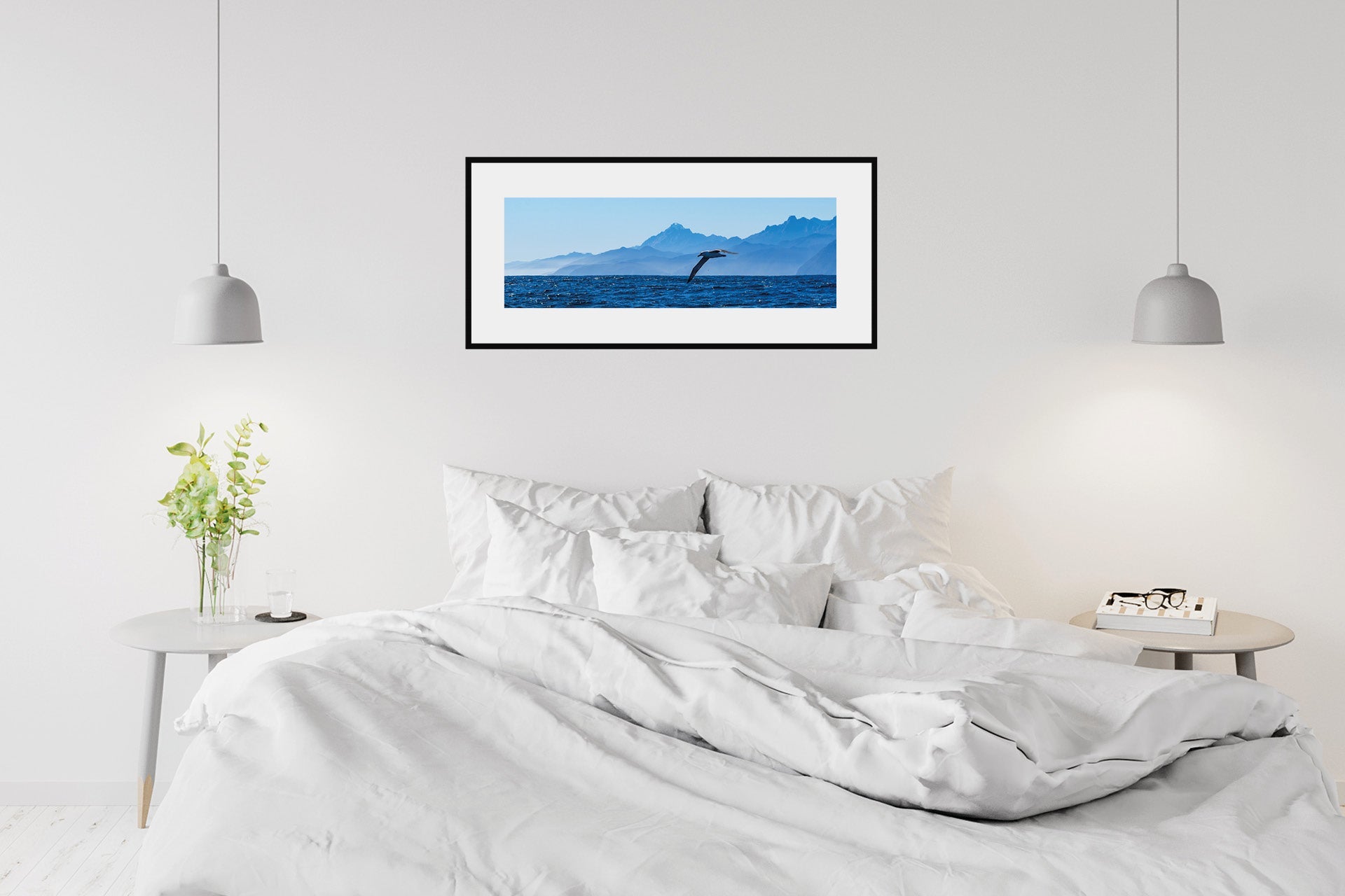 The Drifter | Fiordland Albatross off West Coast — Wildlife Portrait