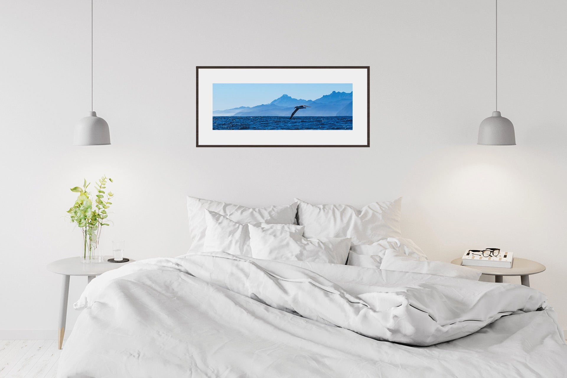 The Drifter | Fiordland Albatross off West Coast — Wildlife Portrait