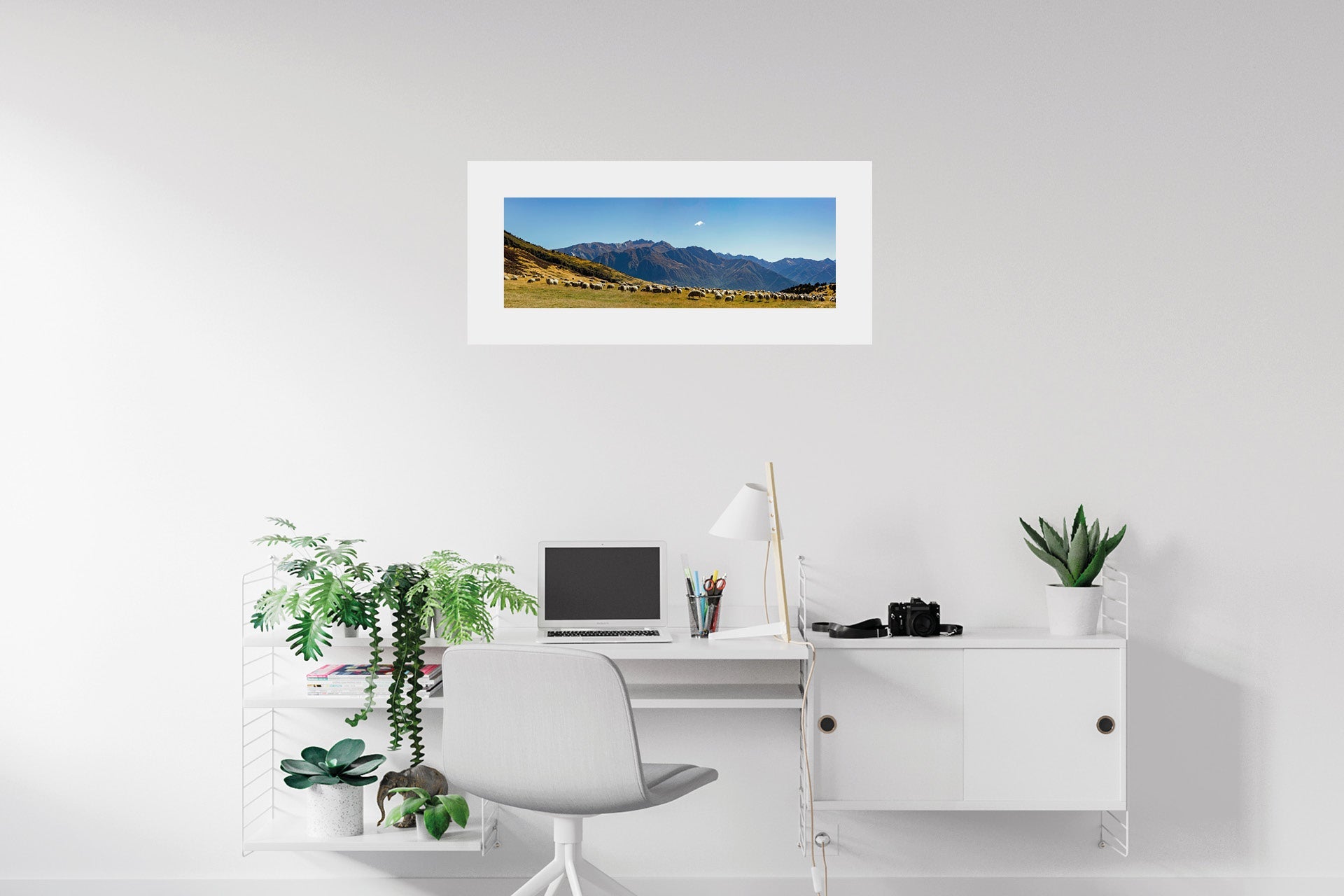 Sheep at Lake Hawea — NZ Landscape