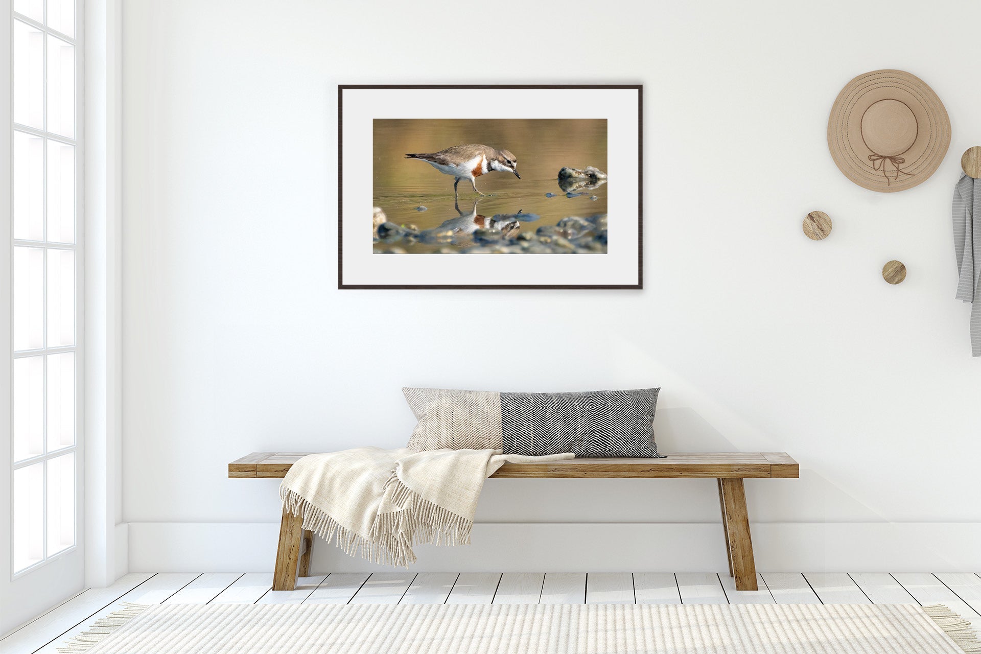I See You | New Zealand Banded Dotterel — Braided River Foraging